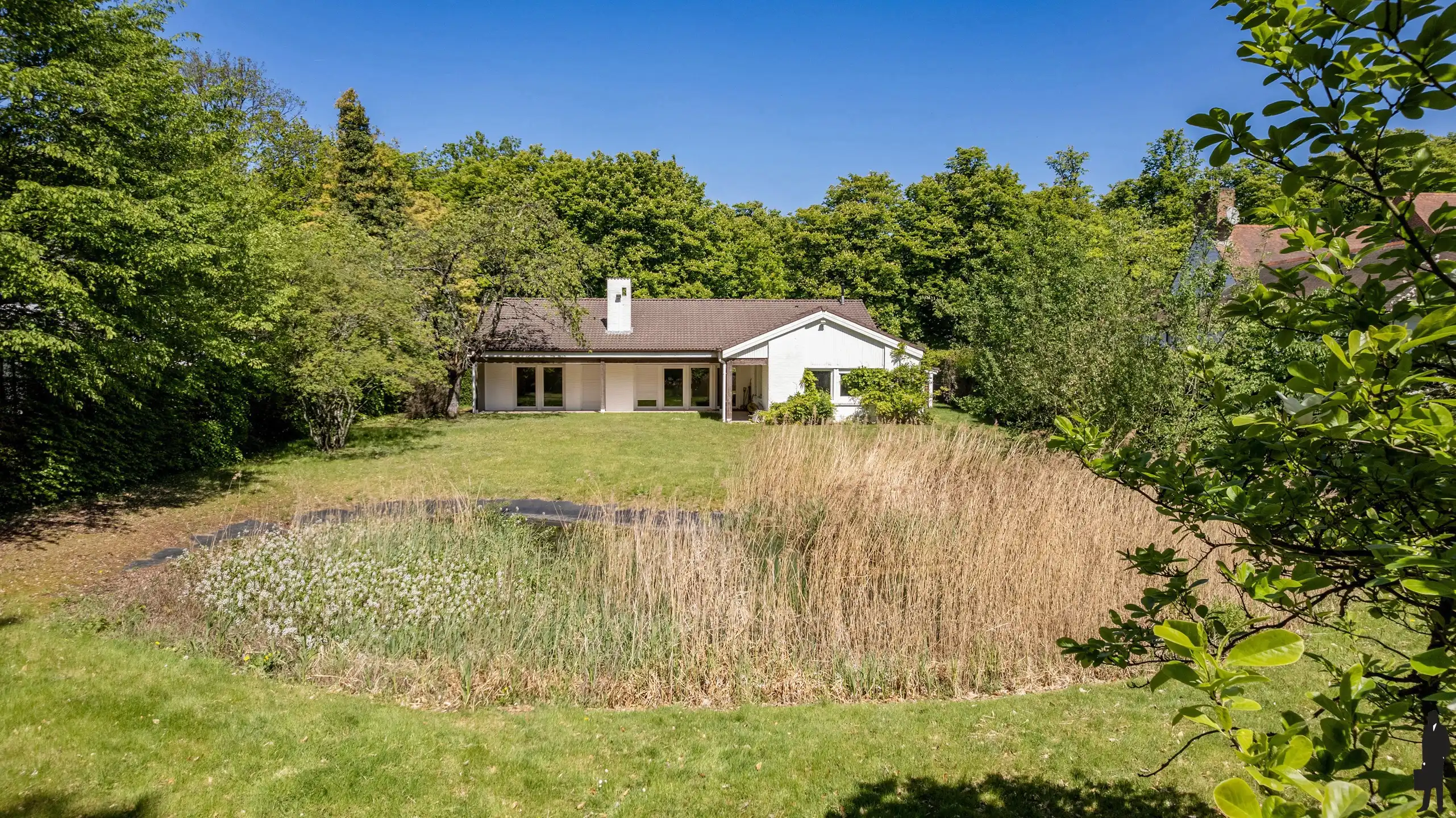 Een volledig te renoveren gelijkvloerse villa (heden kantoor) op ca. 2.438 m² foto 4