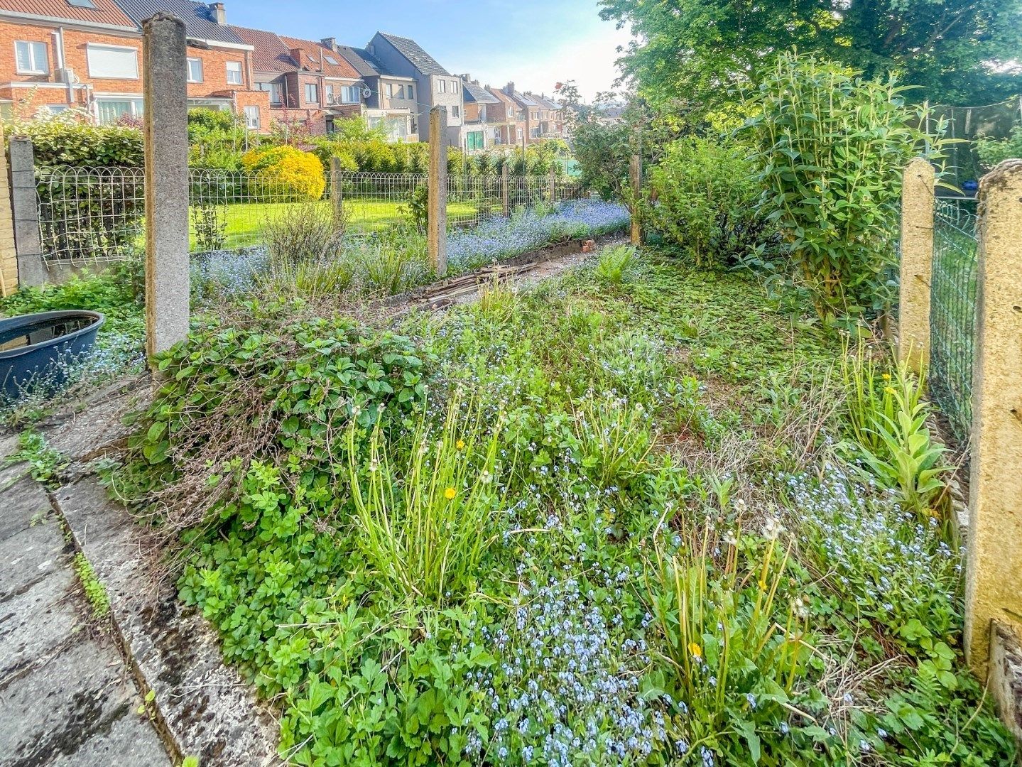OPBRENGSTEIGENDOM MET 2 APP, GARAGE, TERASSEN & TUIN ! foto 20