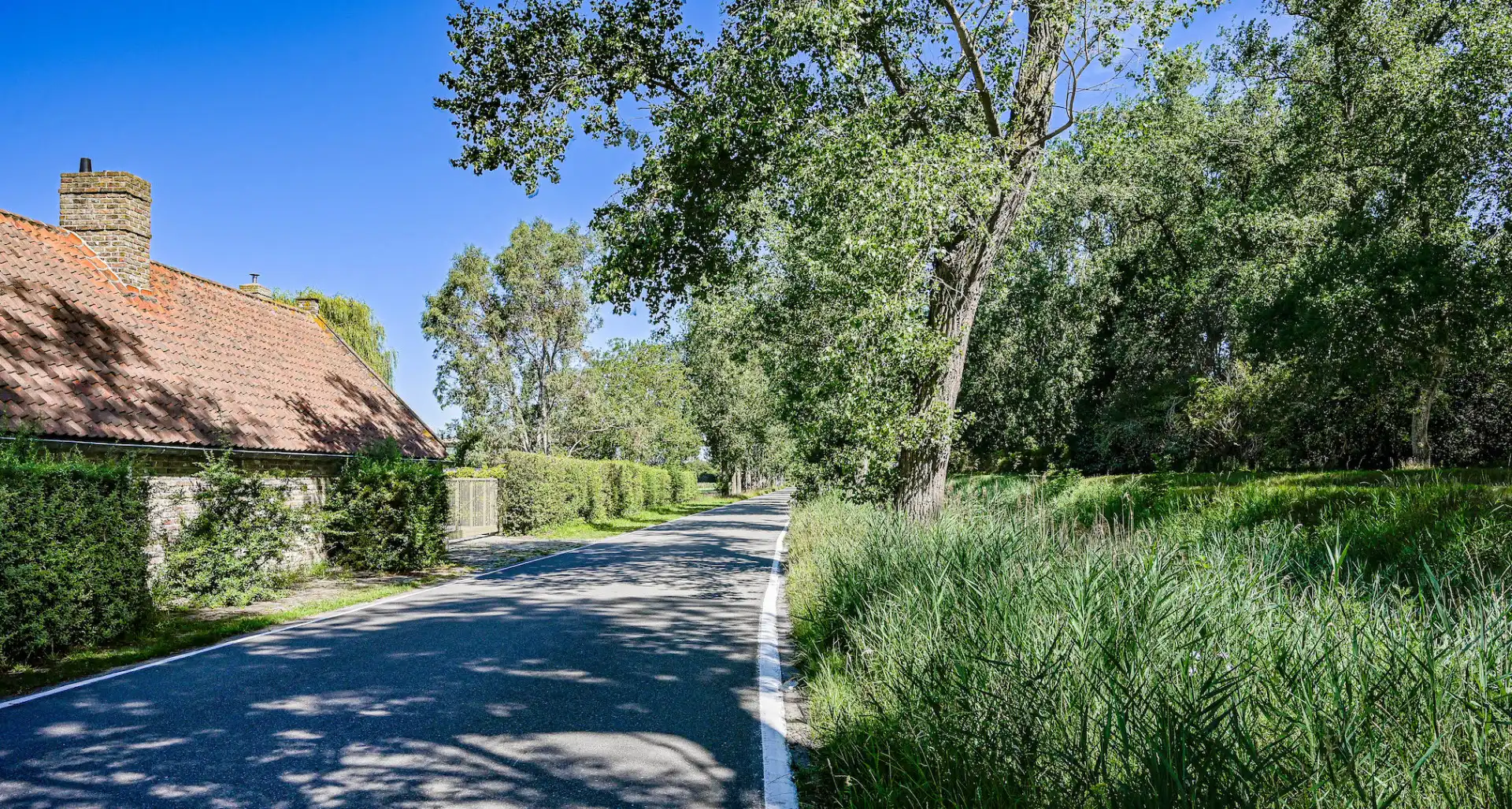 De Rozeblomme, 16e eeuwse abdijhoeve met vergunning voor luxueuse B & B in bijgebouw, circa 2,5 ha foto 32