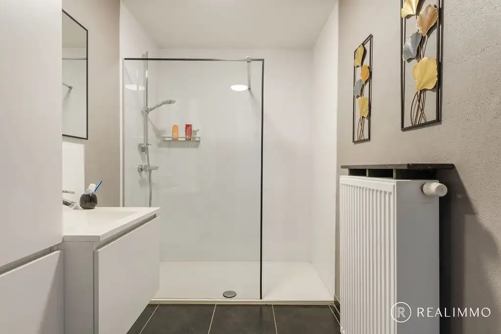 Lichtrijk appartement met twee autostaanplaatsen Avelgem foto 12