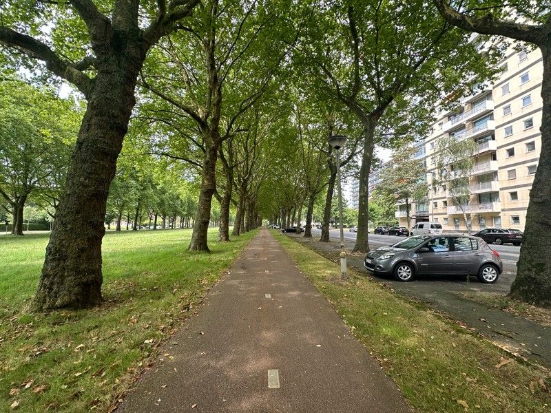 Prachtig gelegen appartement met zicht over groen Linkeroever met parkeerplaats foto 3