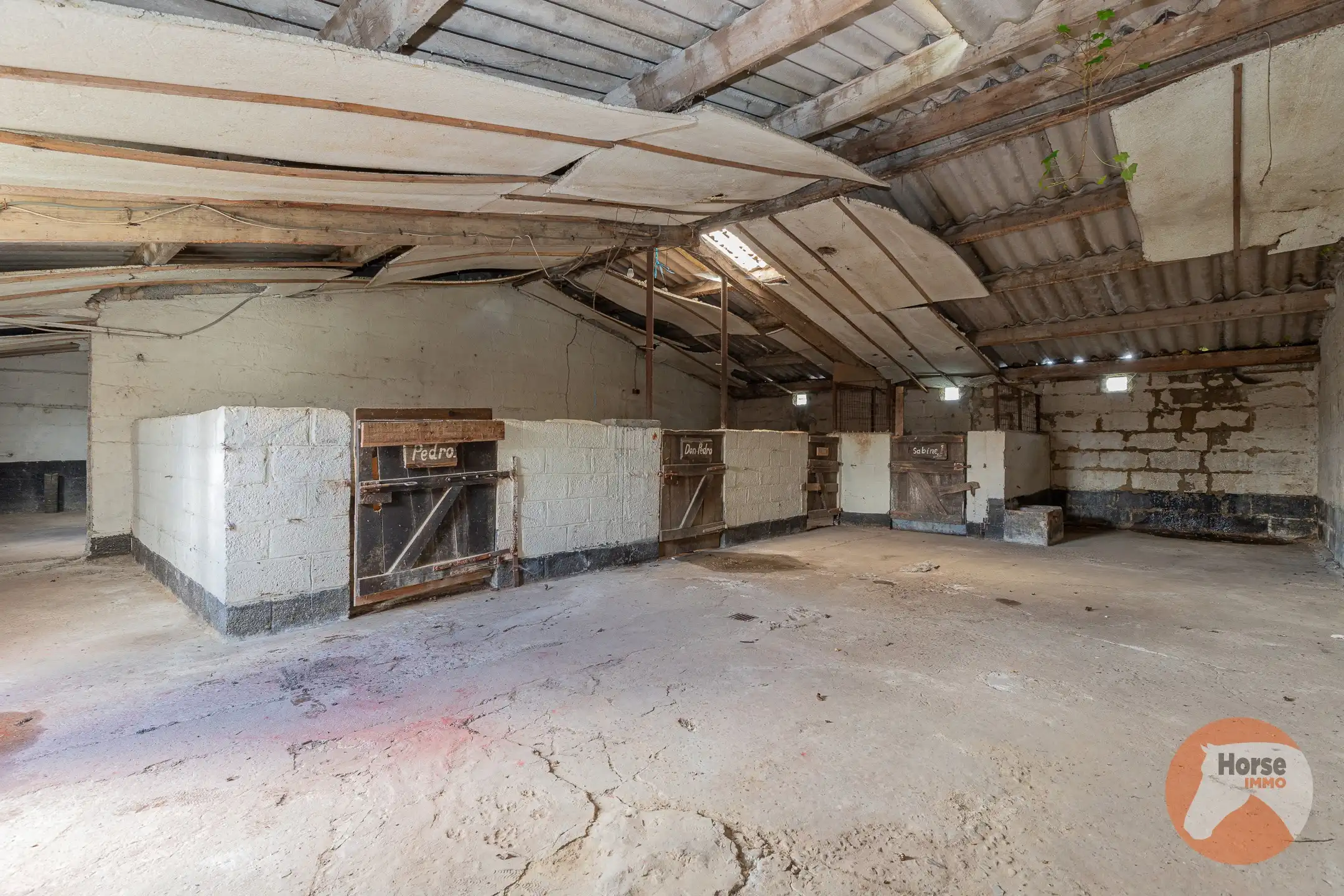 HOFSTADE - Charmante gelegen woning met bijgebouwen en weide foto 20