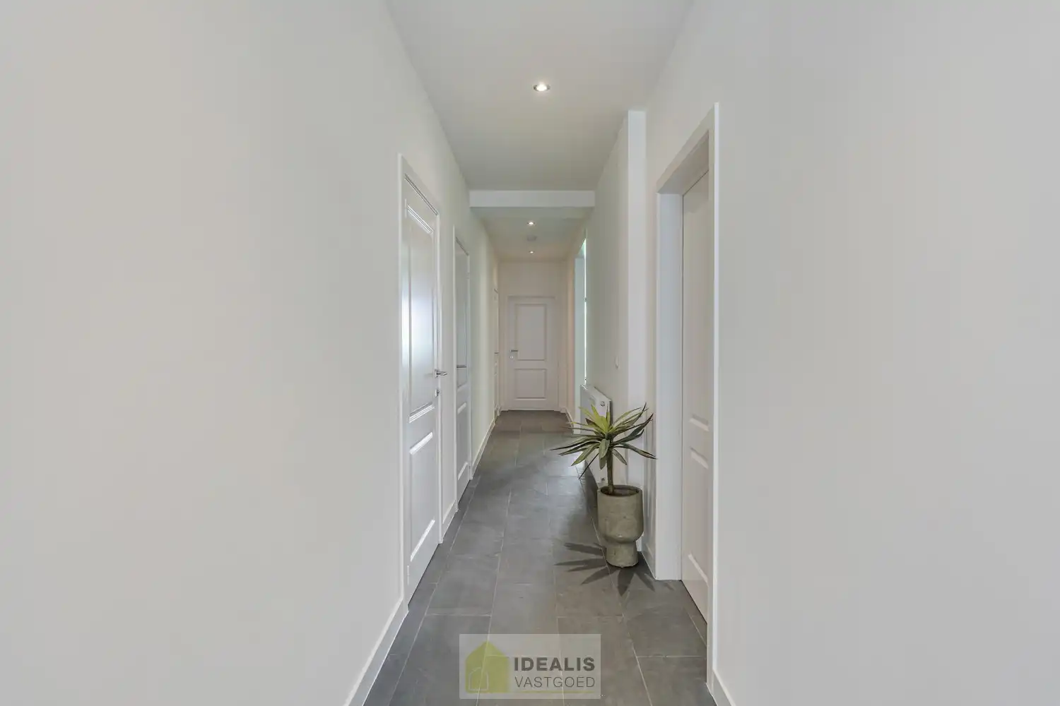 PRACHTIG GERENOVEERD GELIJKVLOERSAPPARTEMENT MET STADSTUIN IN HARTJE HAMONT! foto 4