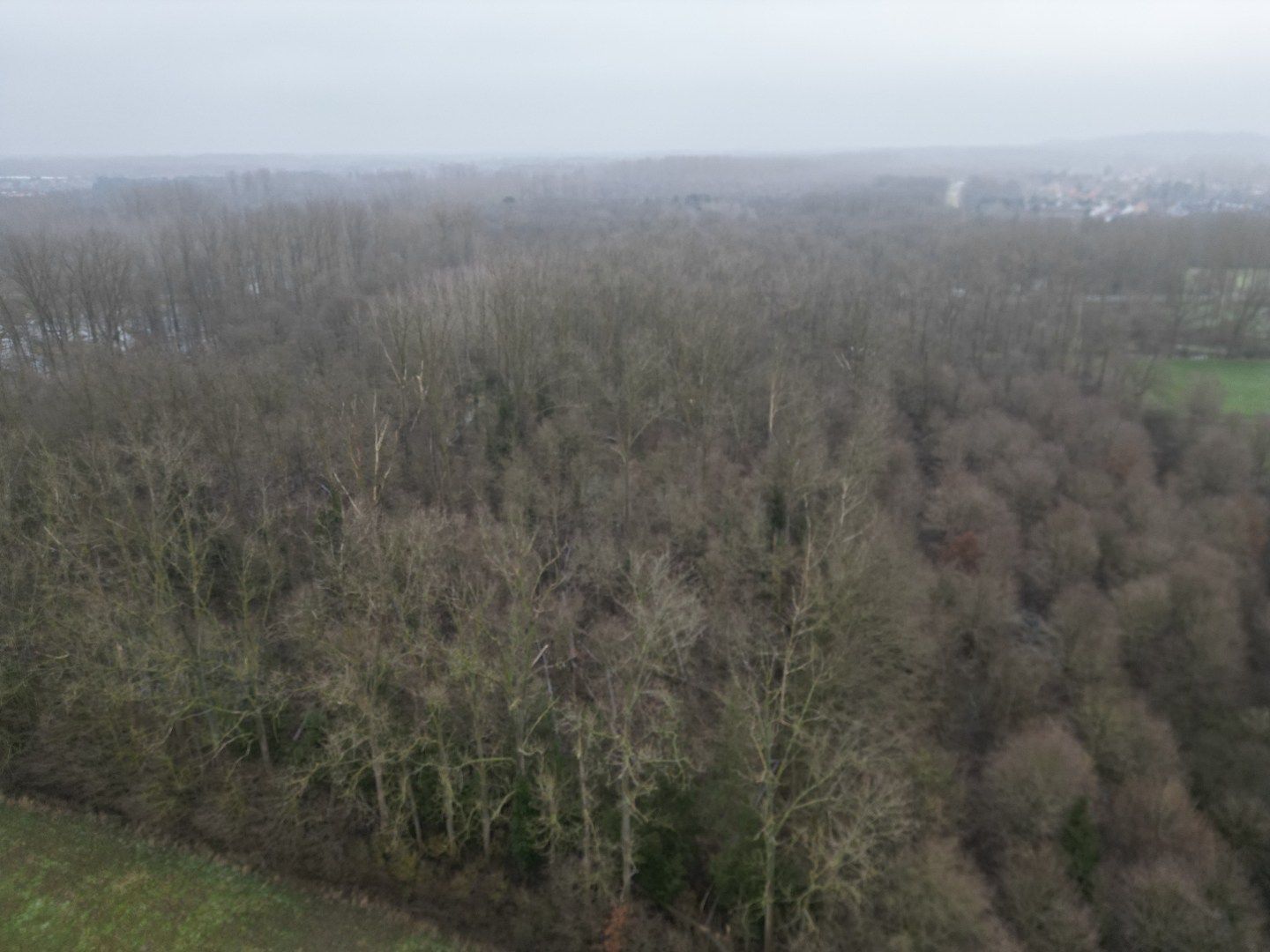 Percelen bos te Rotselaar. foto 6