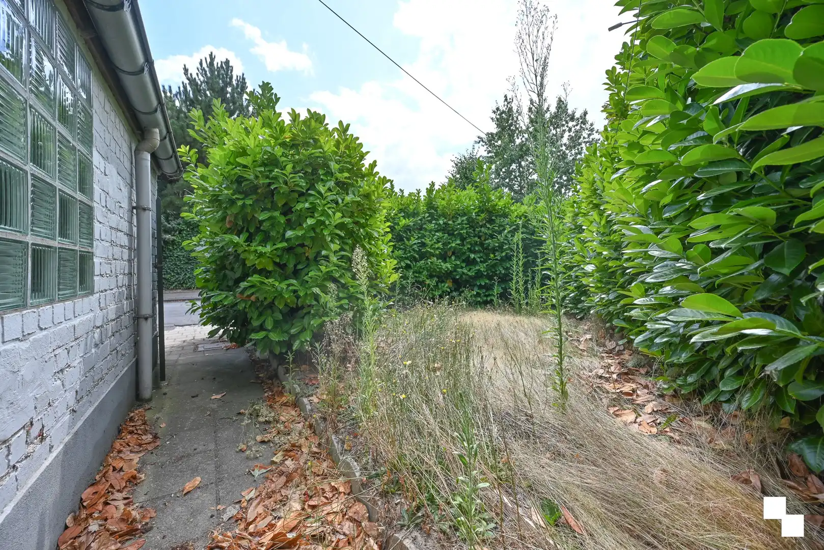 Compleet te renoveren woning / af te breken woning op rand van villawijk te Bosmolens foto 21