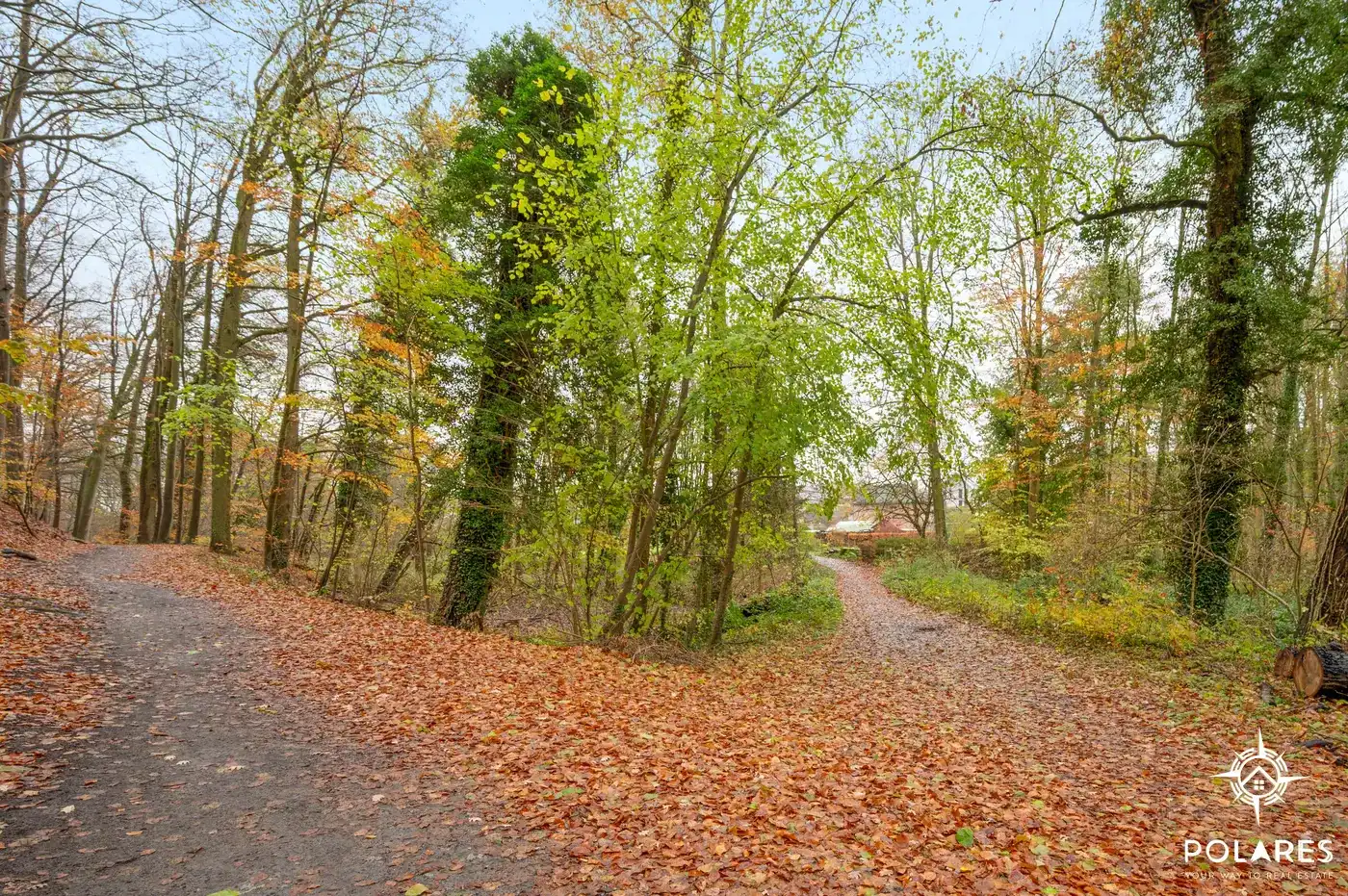 Uniek stuk grond op topligging in Oud-Heverlee! foto 3