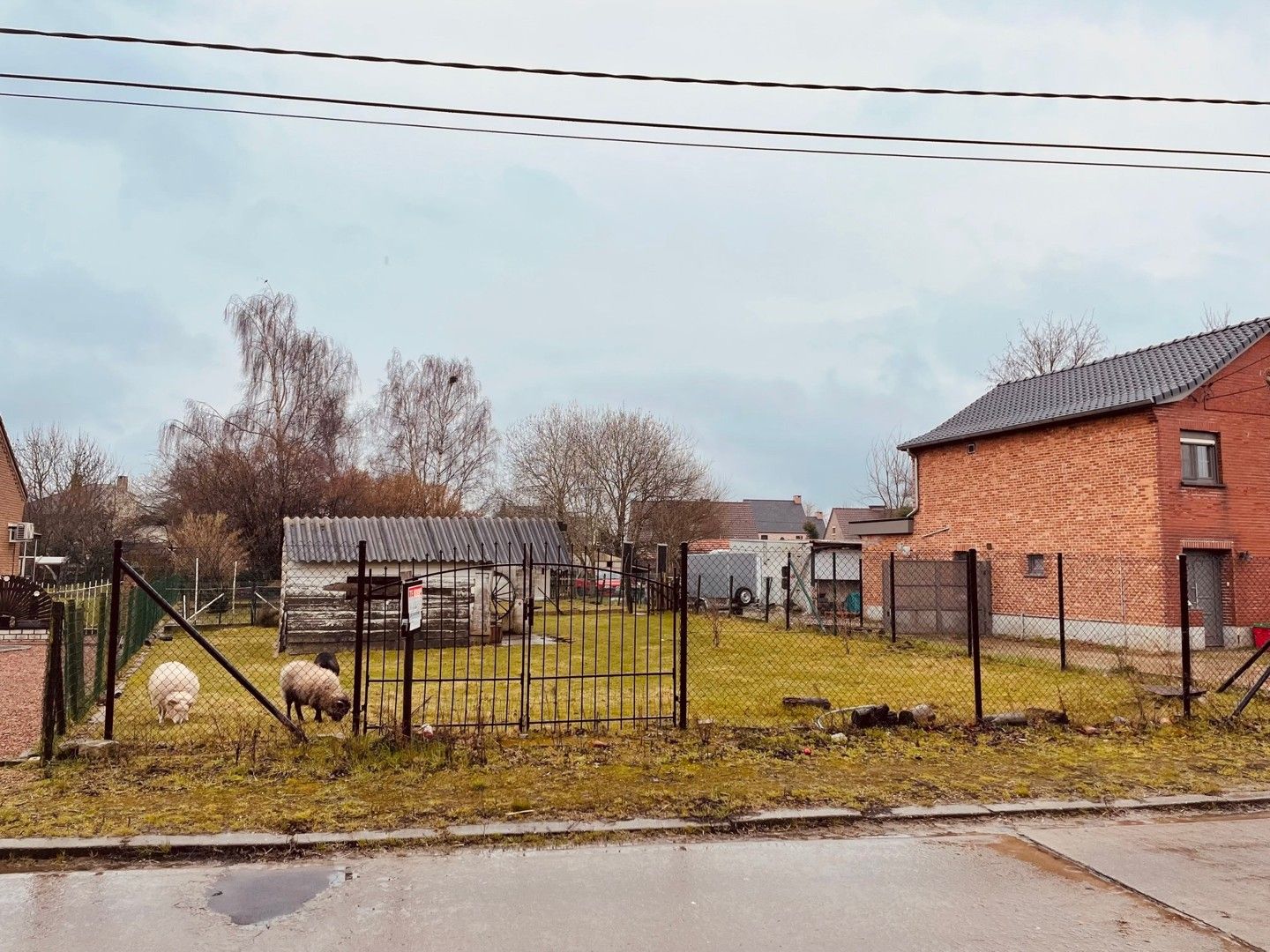 Bouwgrond voor OB foto 4