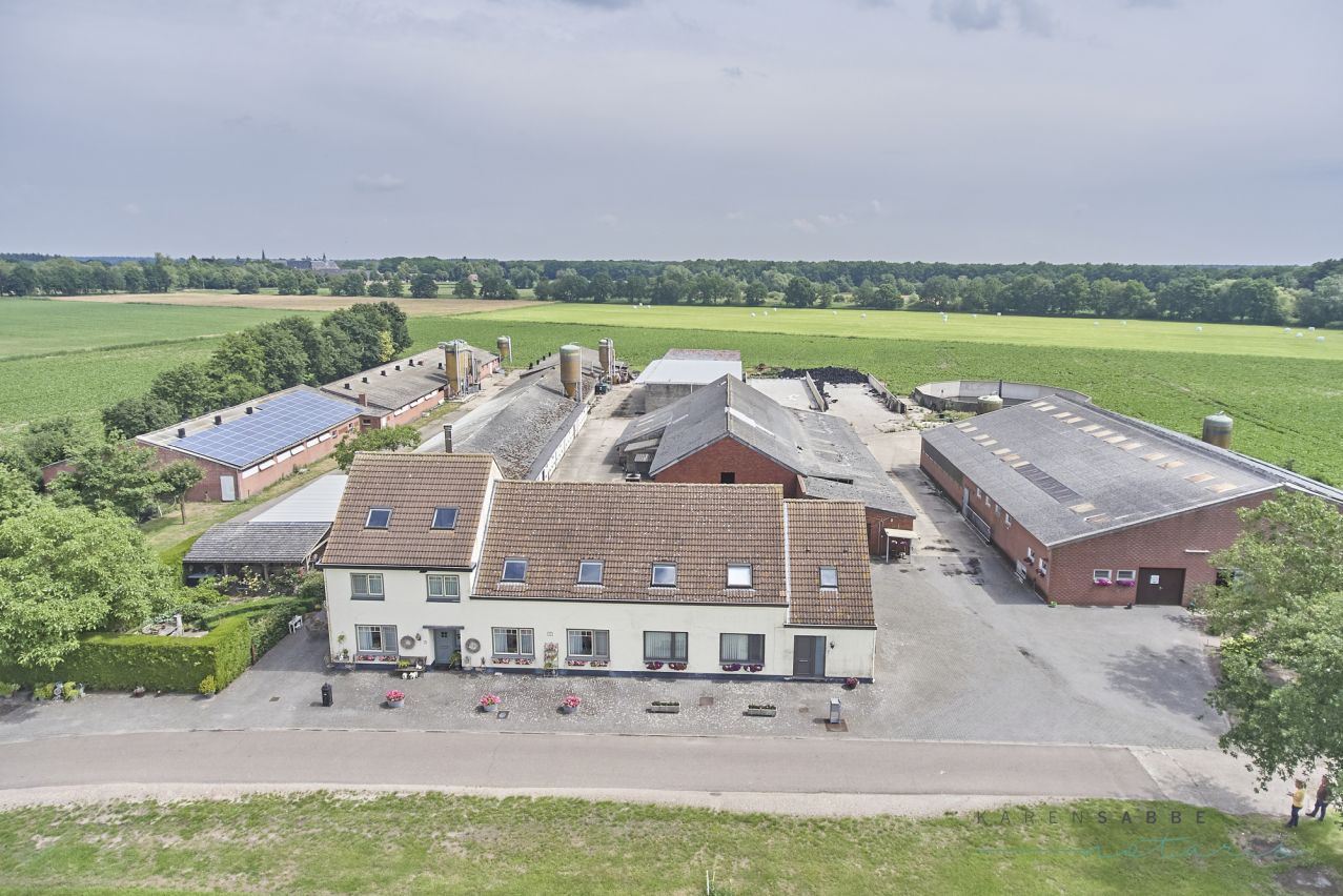 Hoeve met 2 woningen en stallen te koop te Hamont-Achel op 6,5 à 14 ha foto 2