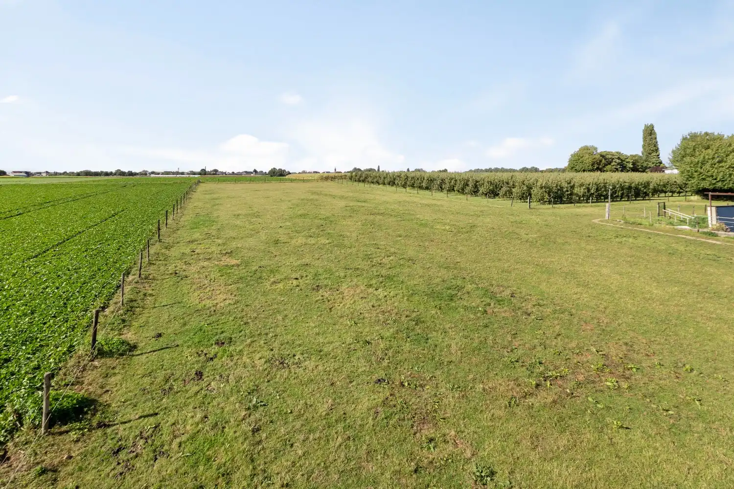 Twee percelen grond met loodsen te koop – Strategisch gelegen langs de Maastrichtersteenweg in Riemst foto 6