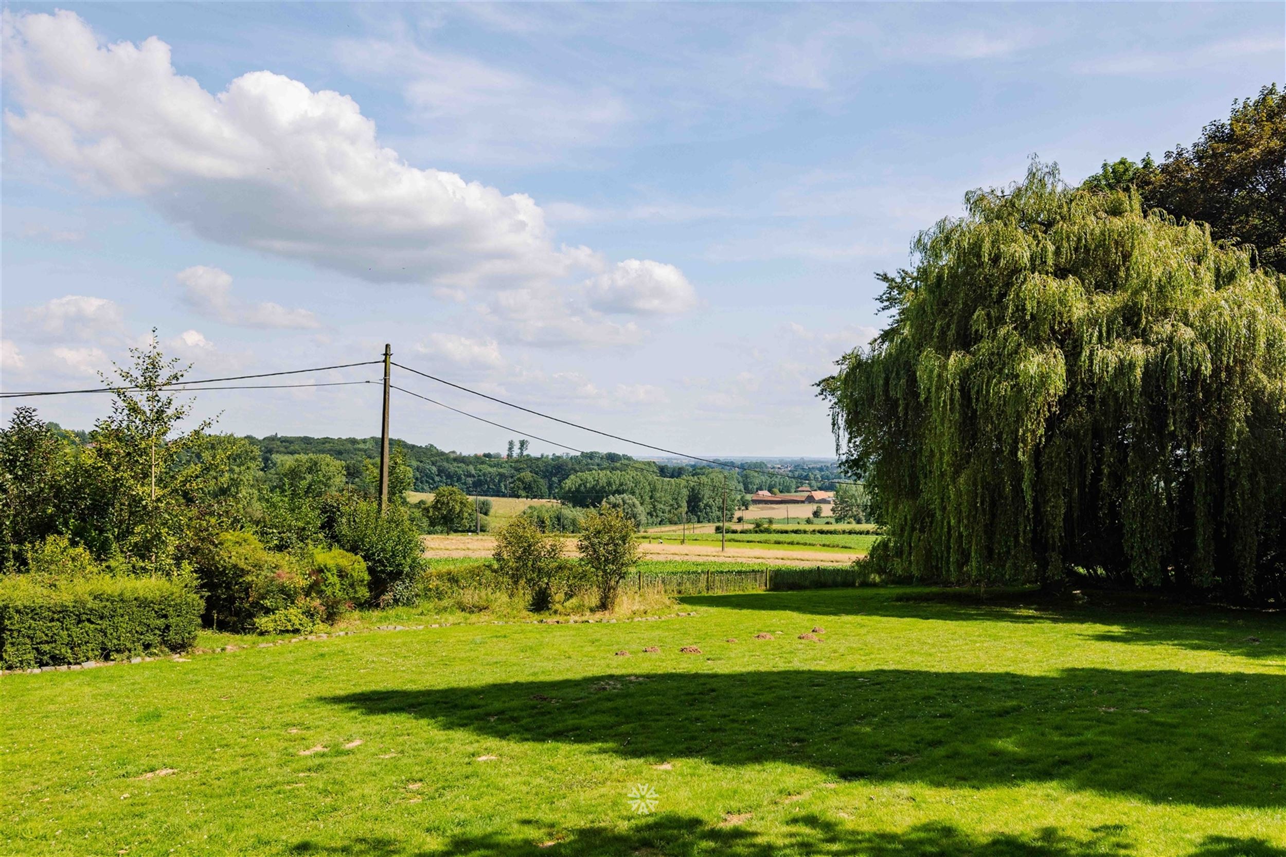 Uniek gelegen landgoed met gite midden de bossen foto 26