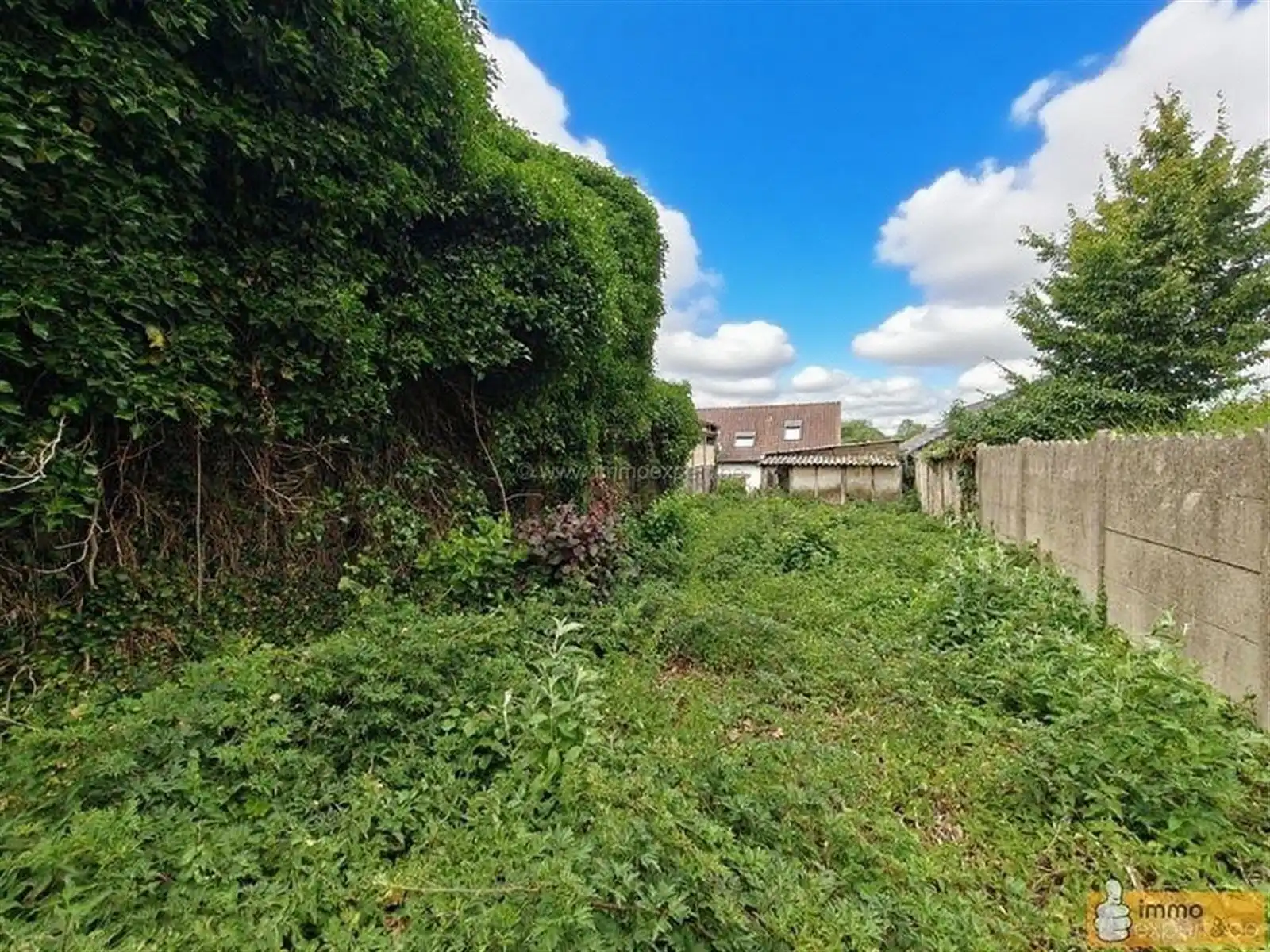 TERNAT: Renovatieproject foto 10