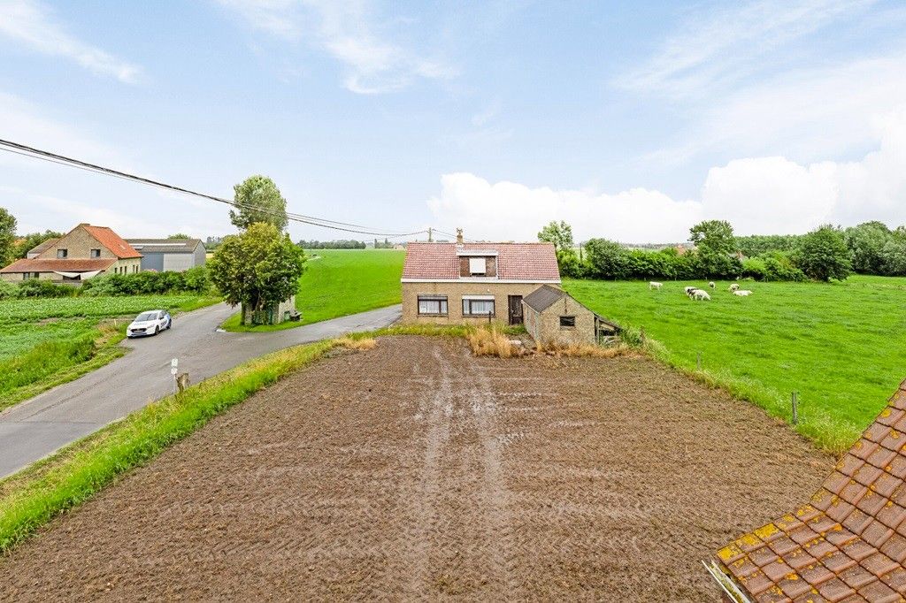 ALVERINGEM: Voormalige herberg "De Rustplaats" waar grazende koeien Uw dichtste buur zijn in een weids en open landschap op 1.000m² grondoppervlakte foto 5