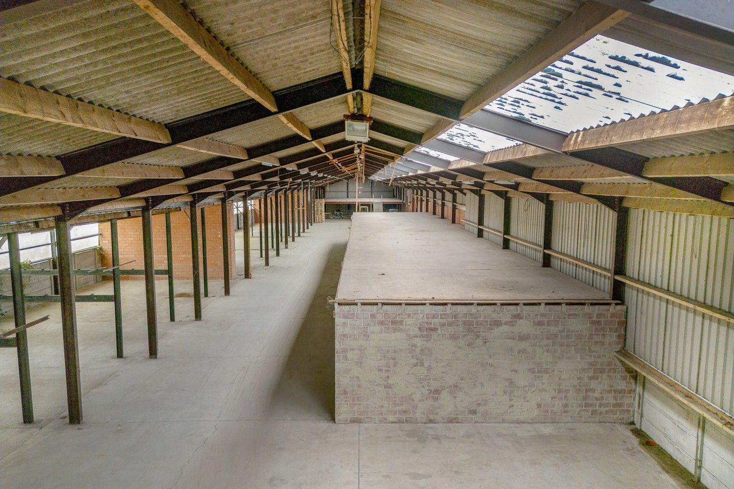 Magazijn met 2 woningen op perceel van 4701 m² foto 4