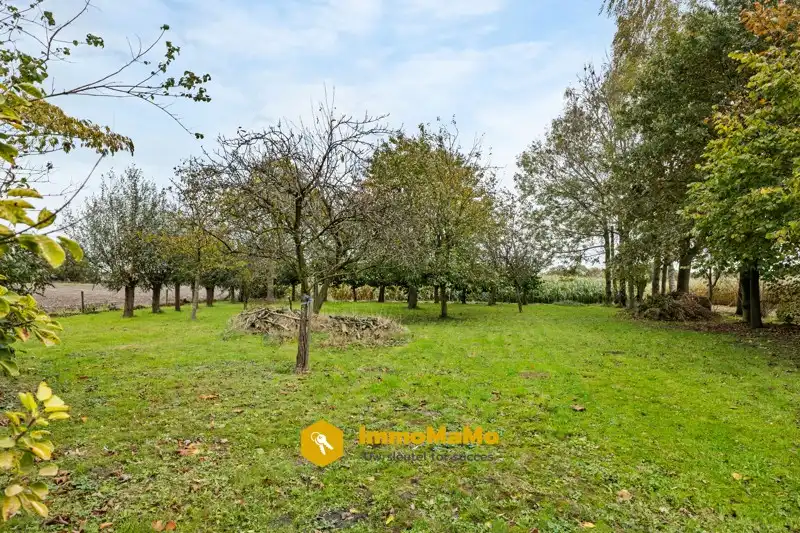 BUNGALOW MET 3 SLAAPKAMERS EN ZEER RUIME TUIN TE KOOP IN LOCHRISTI (WACHTEBEKE) foto 27