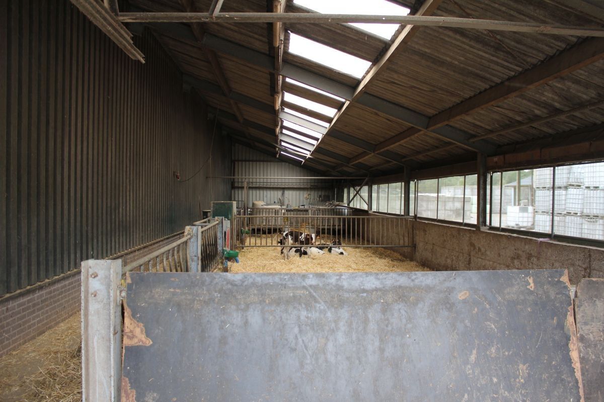 Melkveebedrijf met 38,70 ha grond te koop te Bocholt foto 17