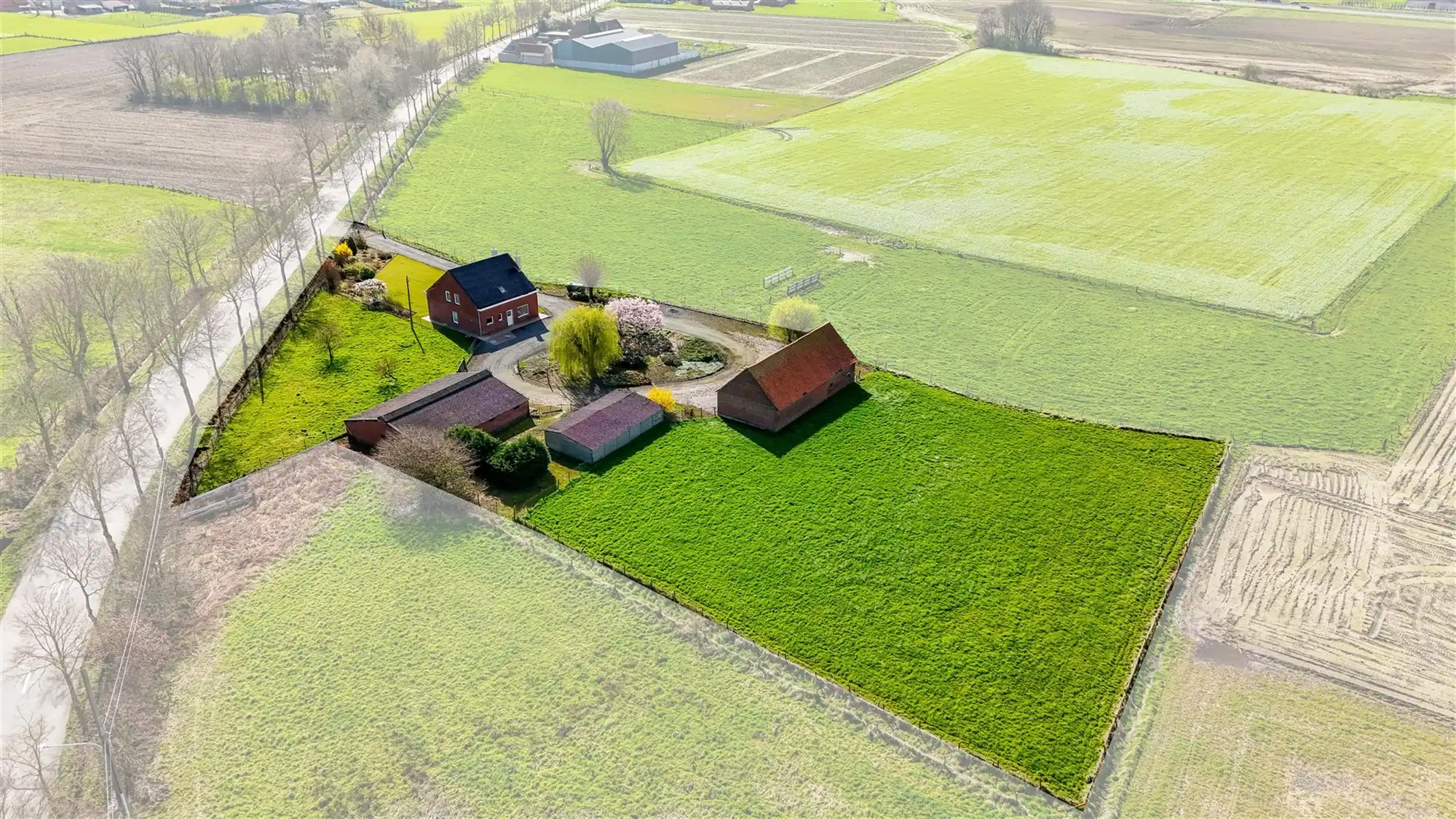 Hoeve op 6660 m² foto 5