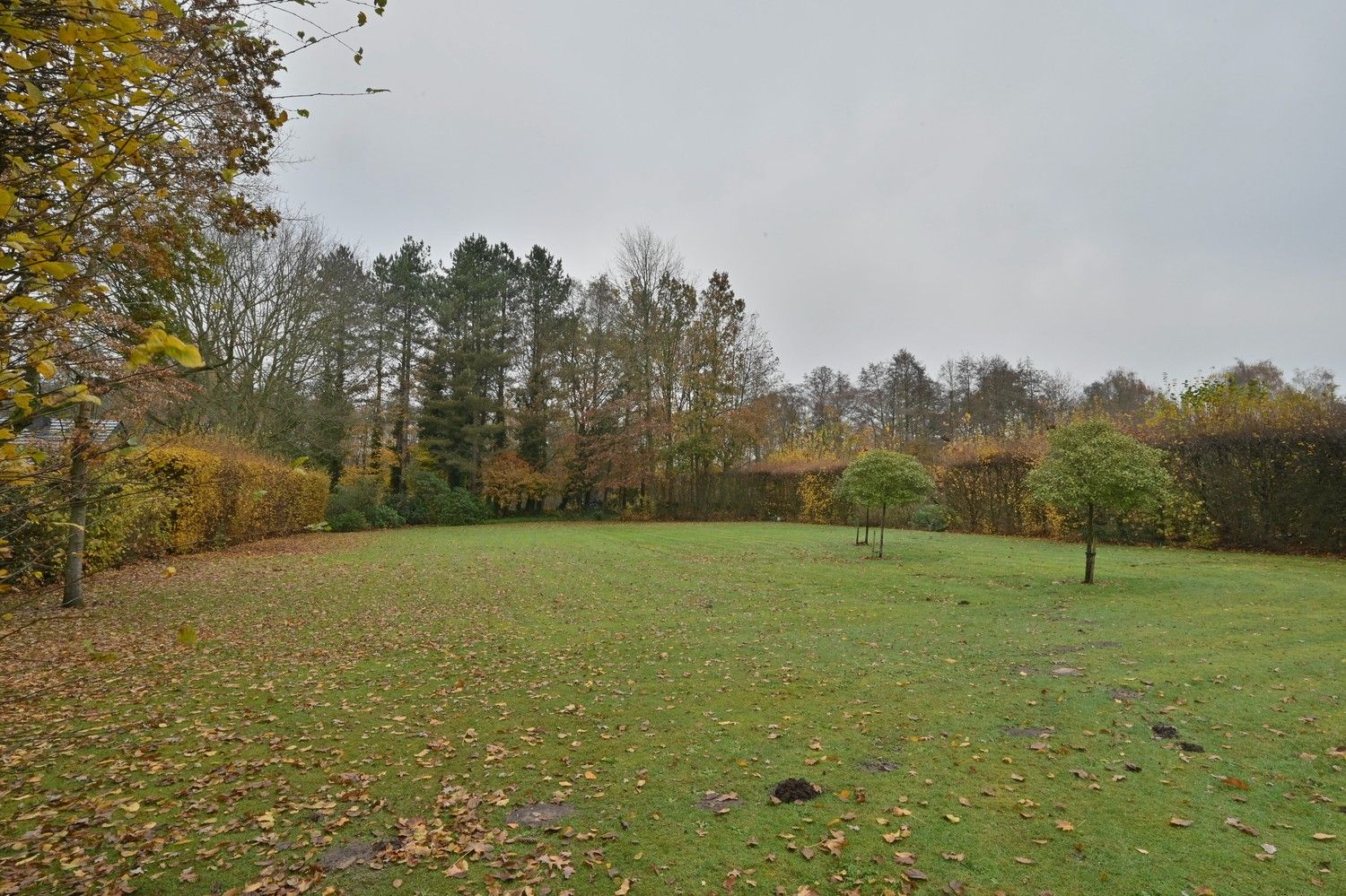 Klassevolle en royale villa gelegen op een perceel van 96a 70 ca (9670 m²) op landelijke toplocatie aan natuurgebied De Maten te Genk foto 42