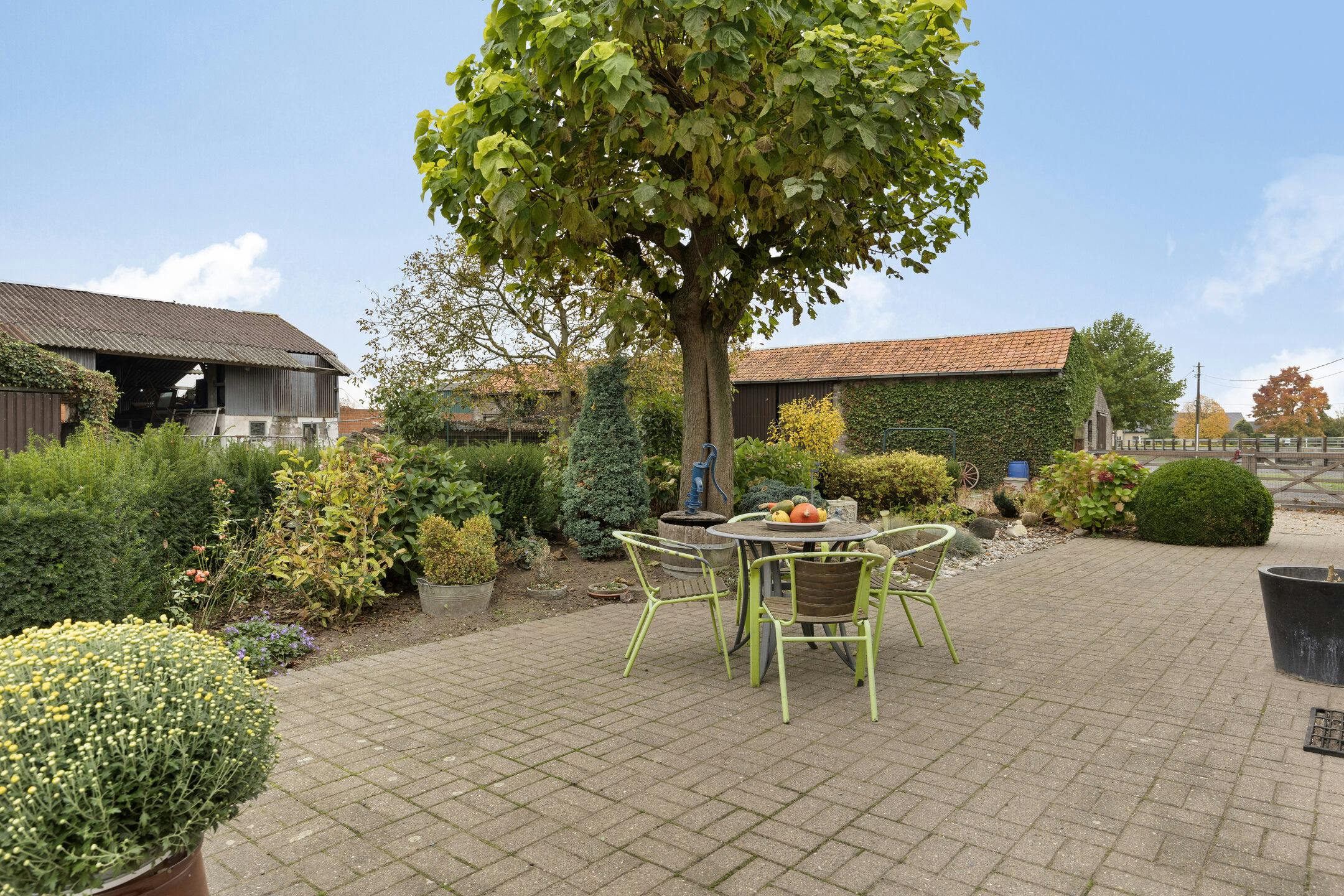 Te renoveren hoeve en bijgebouwen met charme en potentieel foto 17