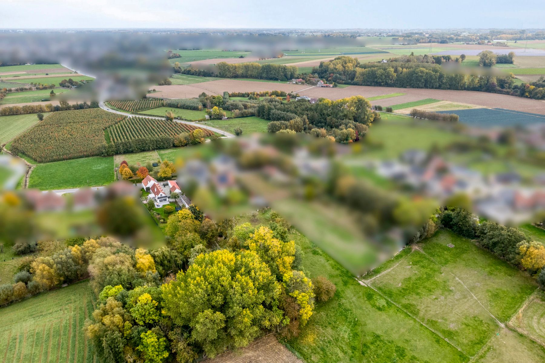 Gerenoveerde hoeve met bijgebouwen en 8 stallen. foto 35