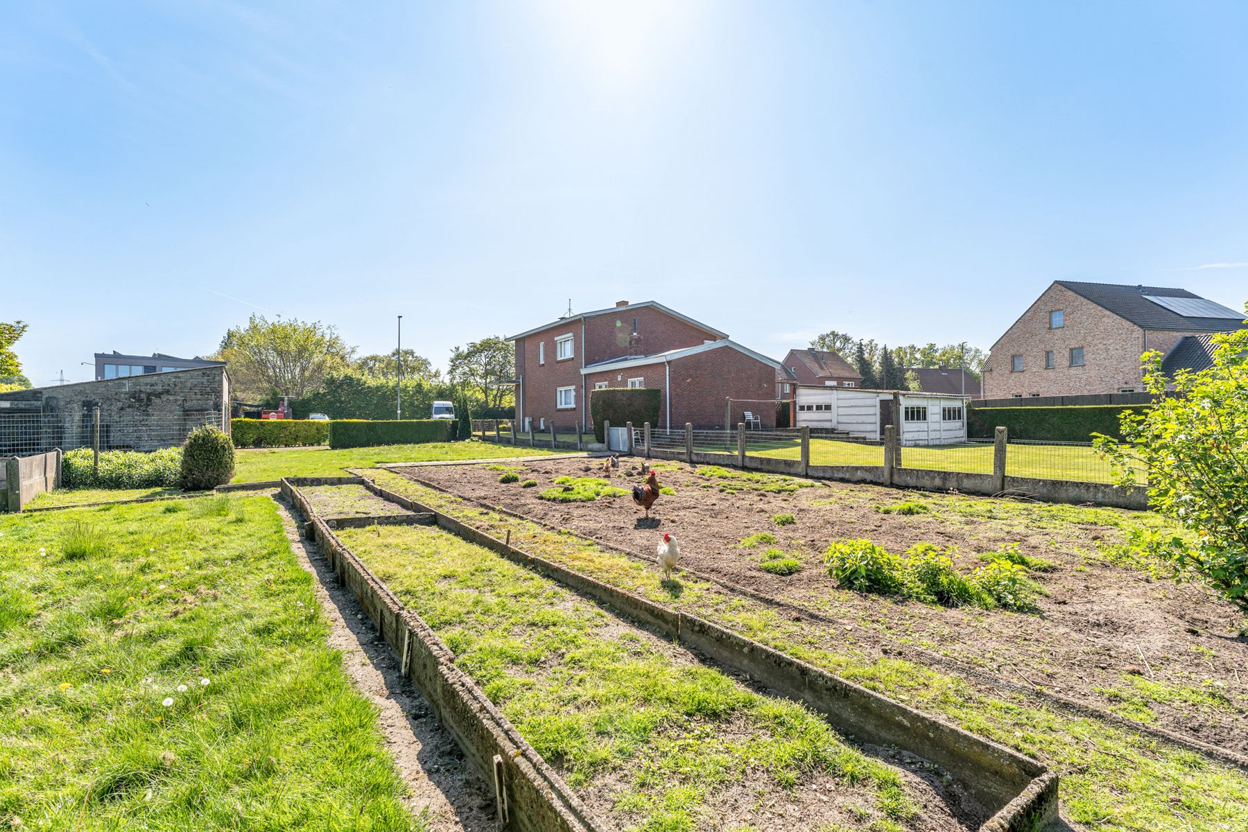 Bouwgrond met open zicht te koop in 't Herent (Pelt) foto 3