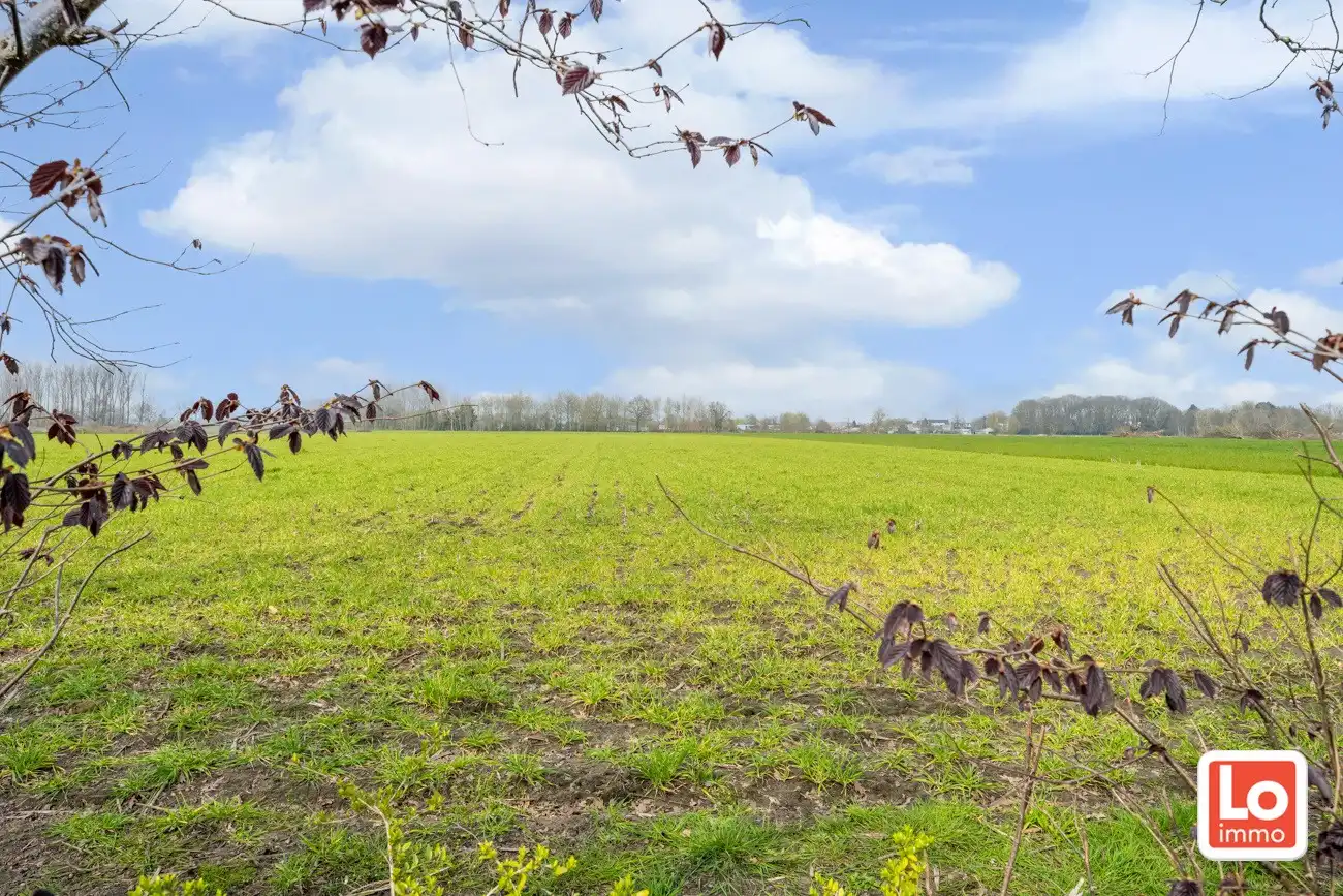 Ruime volledig te renoveren open gelijkvloerse prefab woning met inpandige garage en tuin met open zicht of perceel bouwgrond met afbraak/heropbouw mogelijkheden aan 6% BTW op een rustige locatie nabij het centrum van Zeveneken! foto 3