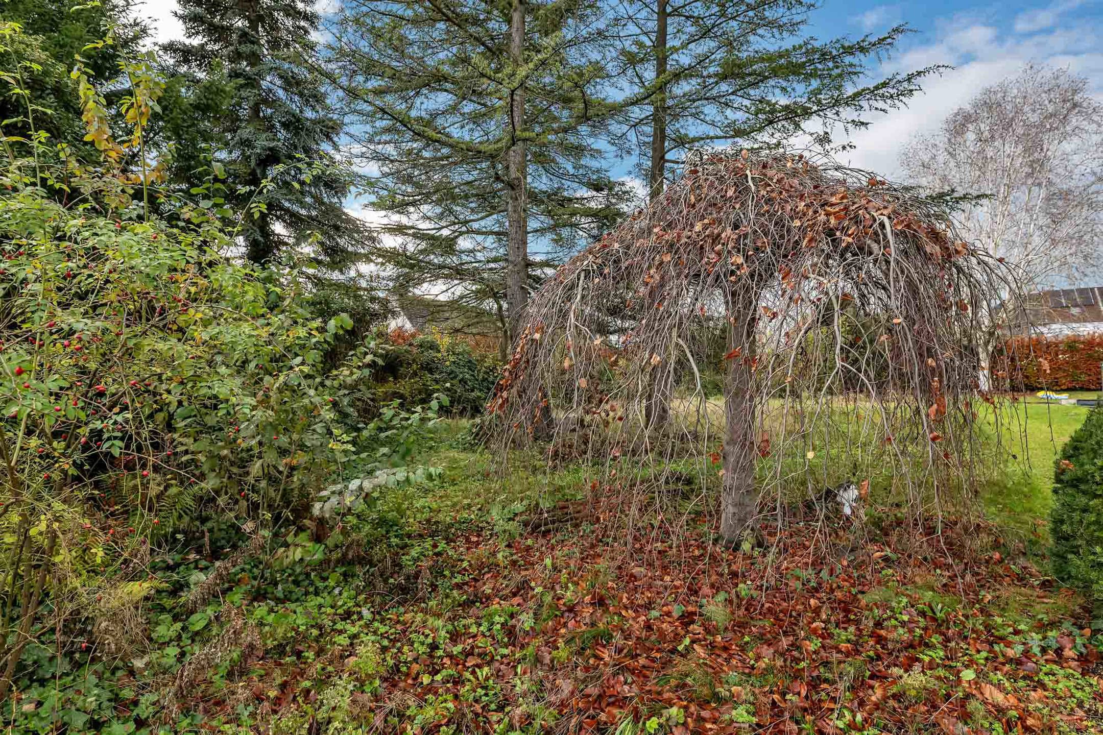 Rustig gelegen bouwgrond voor open bebouwing foto 4