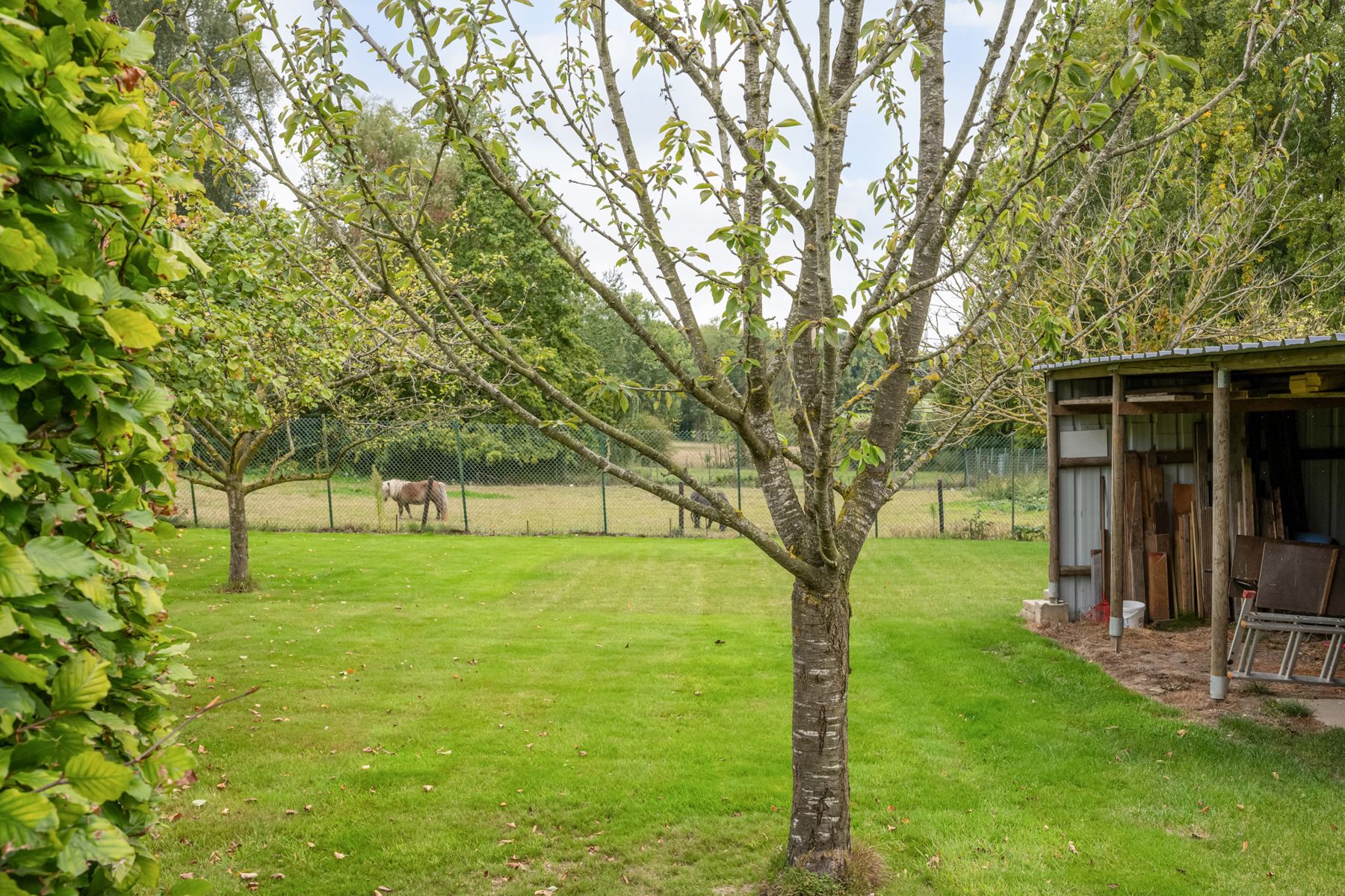 INSTAPKLARE GEZELLIGE GEZINWONING 3SLPKS, TUIN EN GARAGE! foto 22