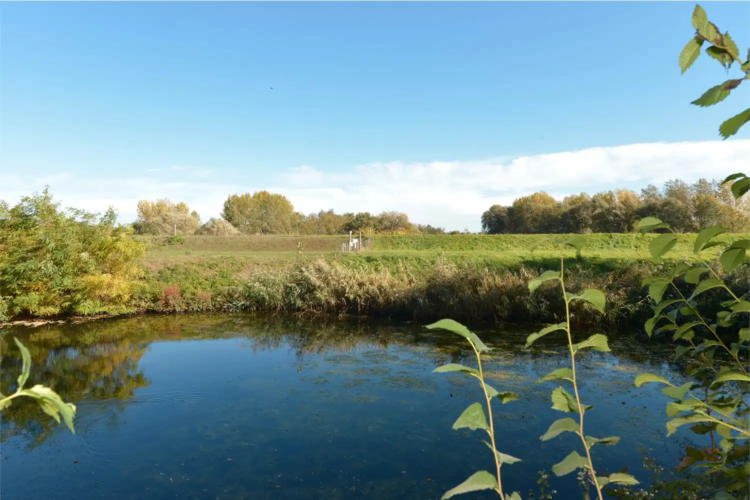 Opbrengsteigendom foto 7