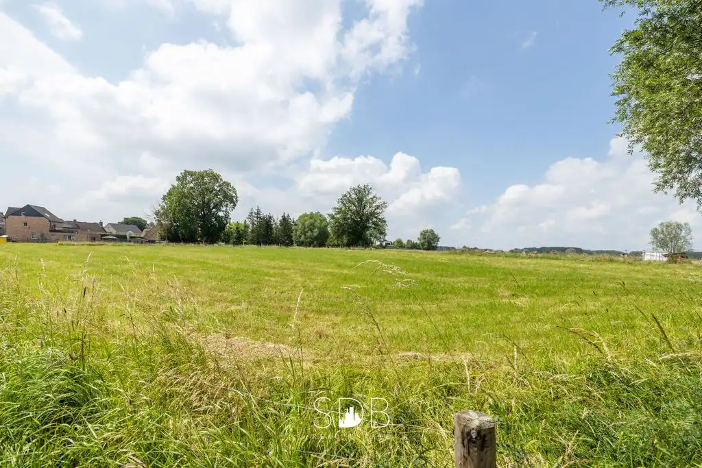 Bouwgrond met gezinstuin en aanpalend grasland op 7.598m² foto 6