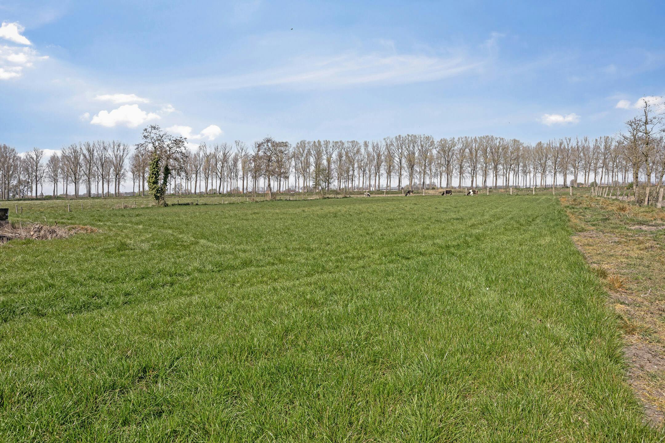 Idyllisch gelegen hoeve te Maldegem foto 6