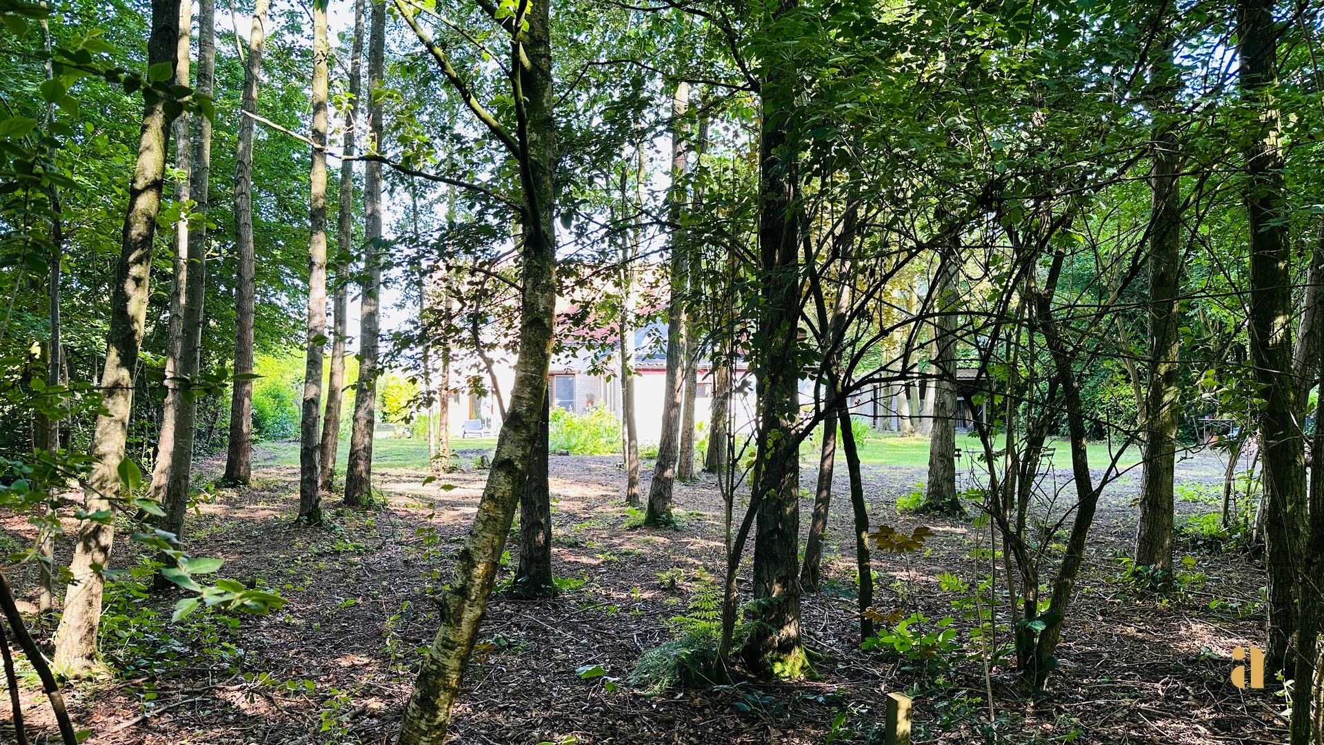 Groen geluk, bouw je droom in Deurle! foto 10