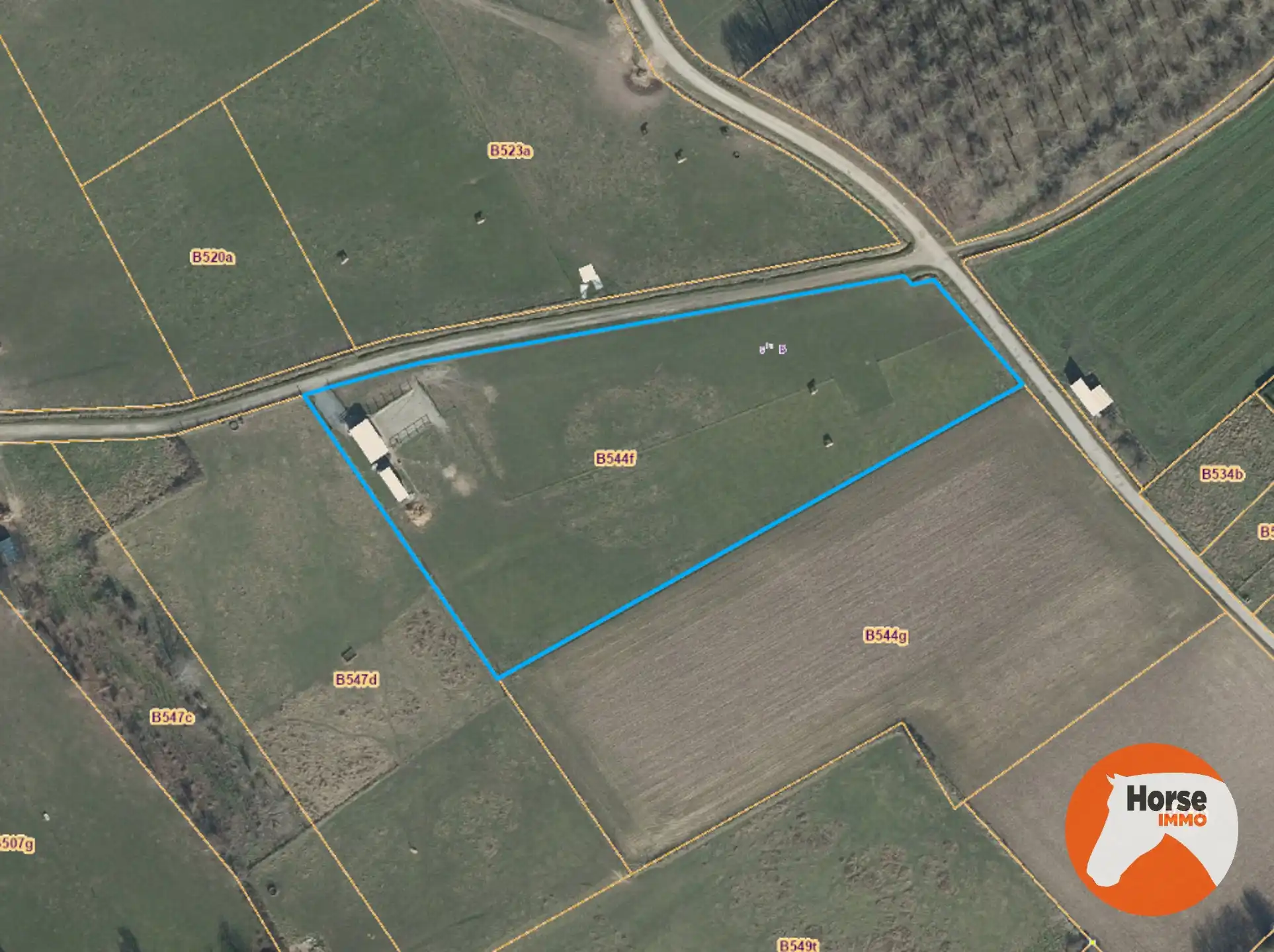ASSE - Paardenaccommodatie op 1,07ha met 3 vergunde stallen foto 2