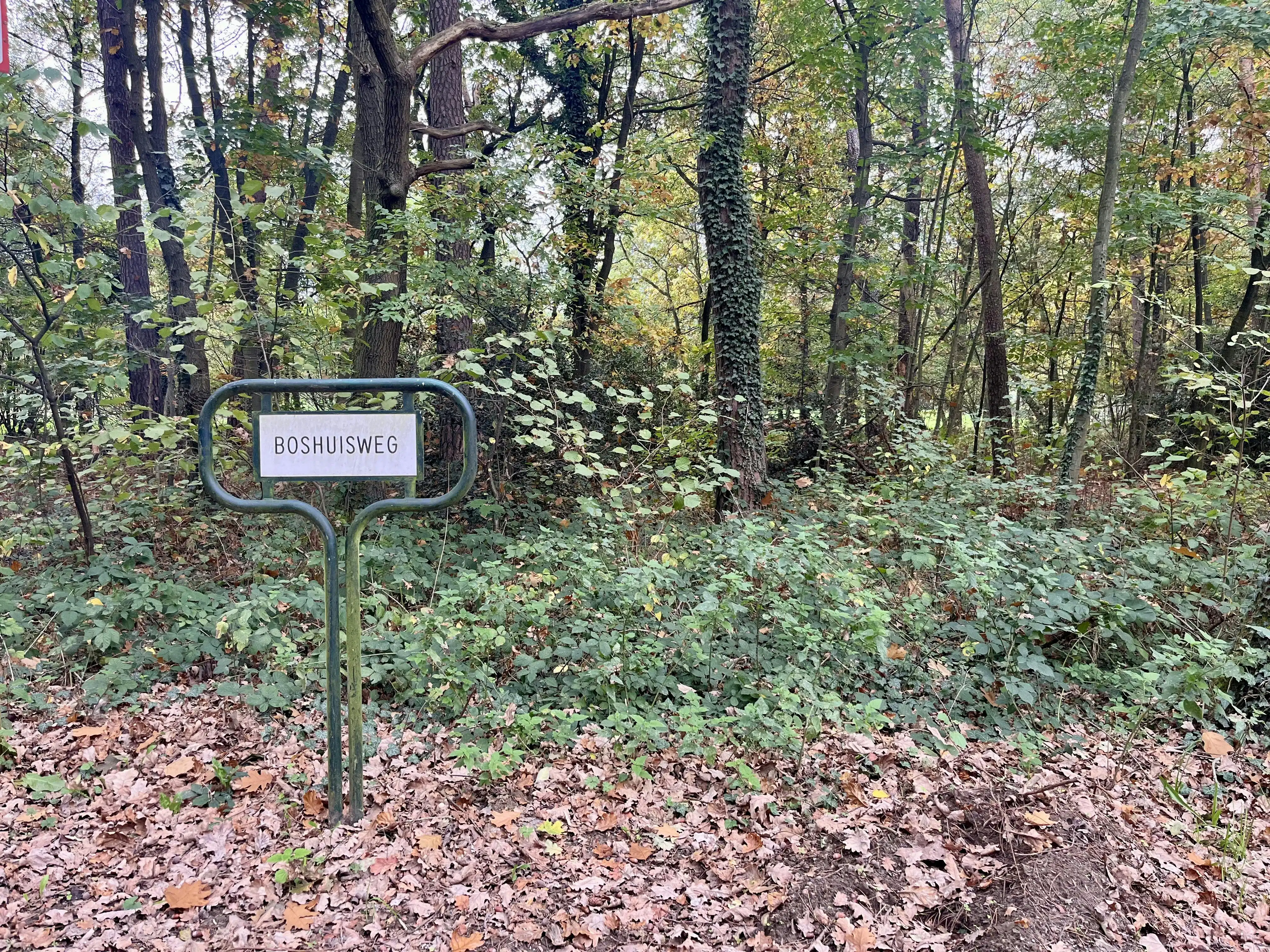 Perceel bosgrond te koop in Zoerselbos foto 3