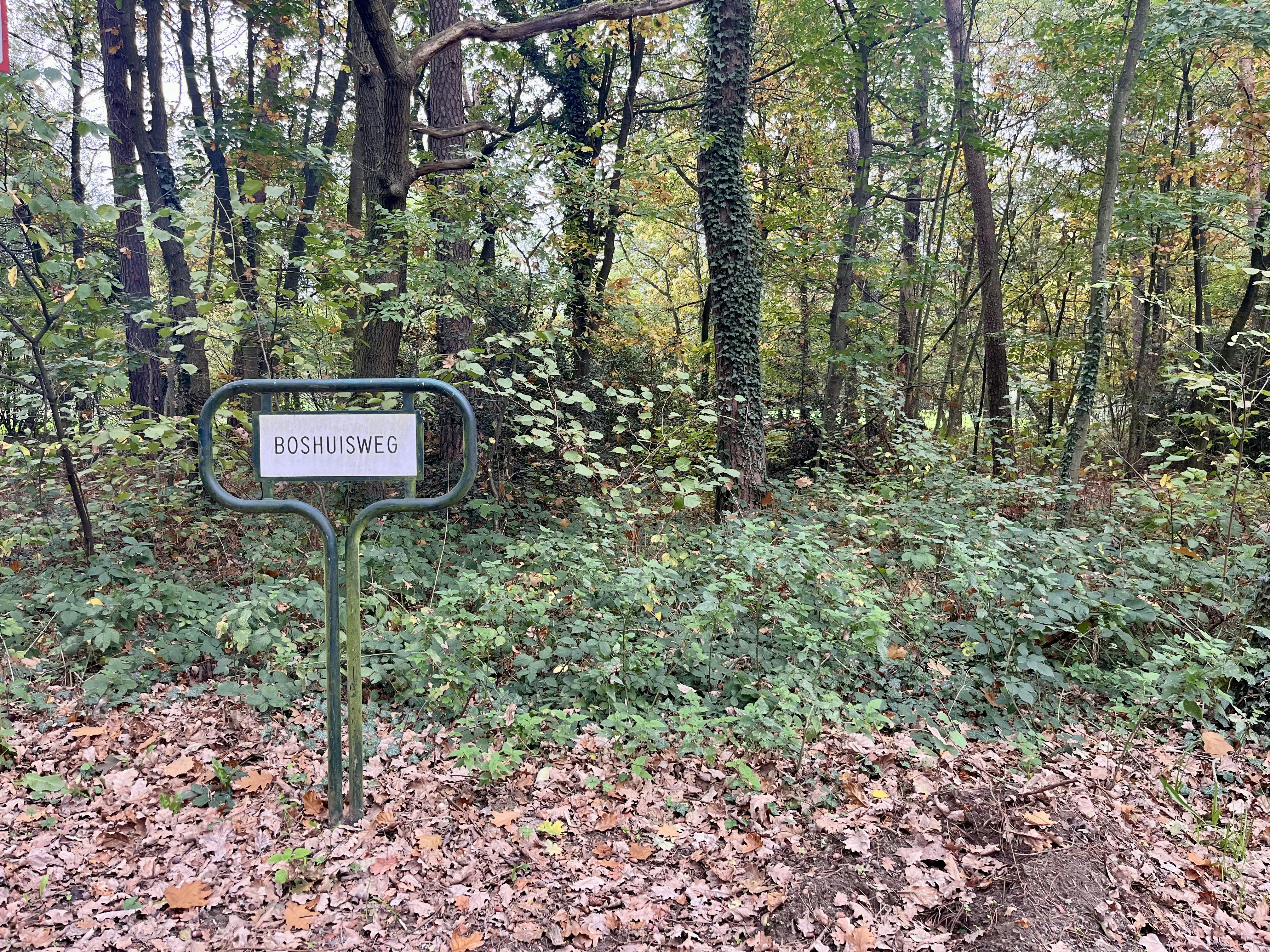 Perceel bosgrond te koop in Zoerselbos foto 3