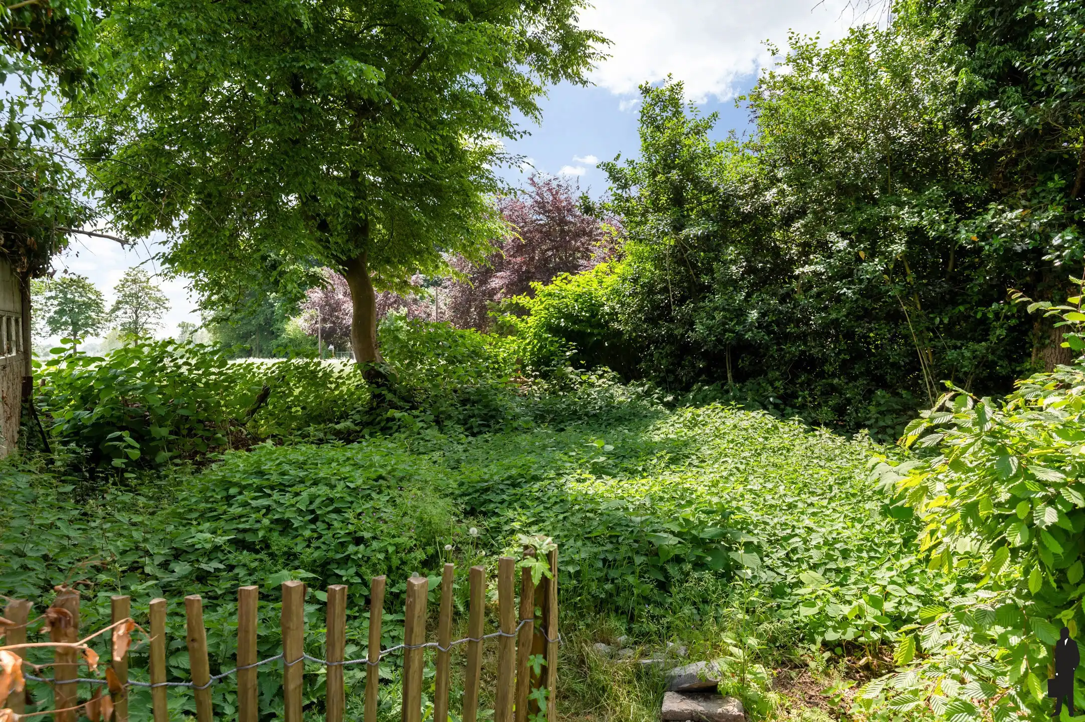 Bouwgrond voor open bebouwing (623 m²) in centrum Boechout foto 5