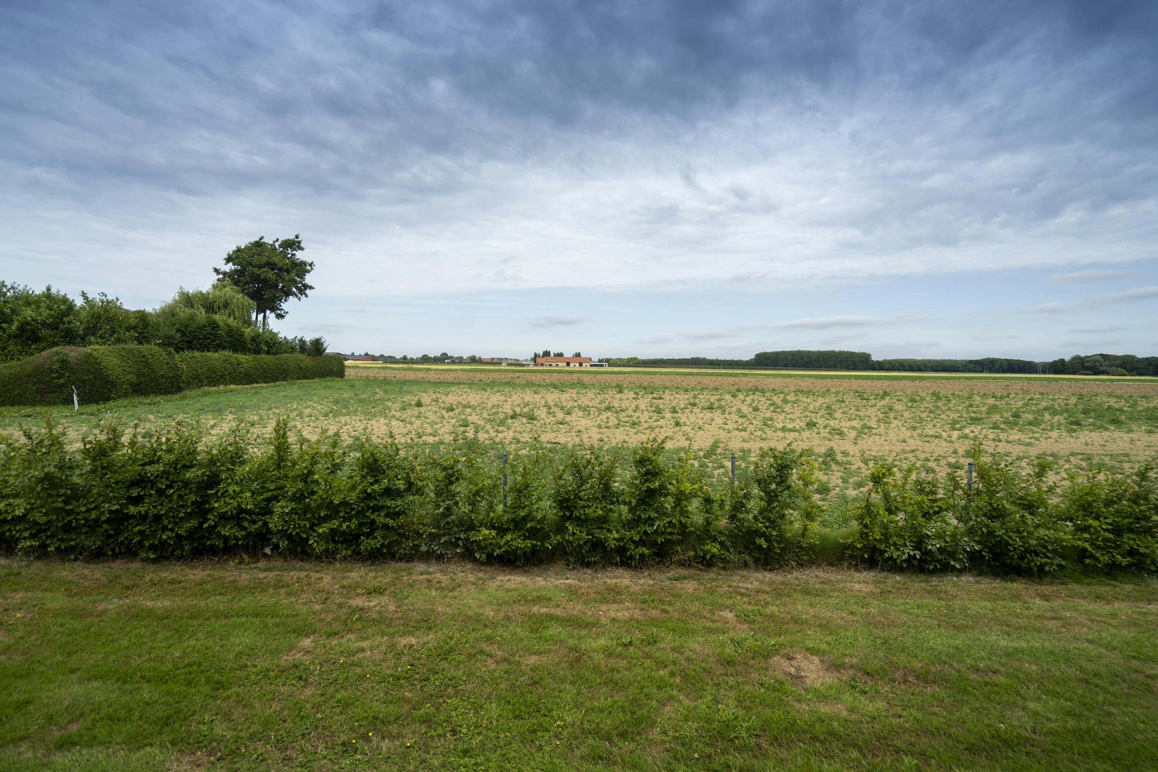 Uniek wonen in het landelijke Stavele foto 30
