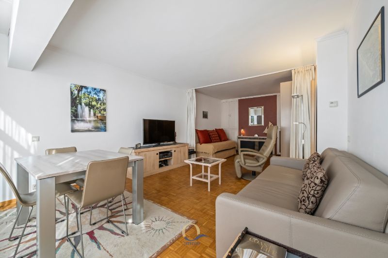 Gerieflijke studio van 52m2 op centrale ligging aan het Marie-José plein foto 2