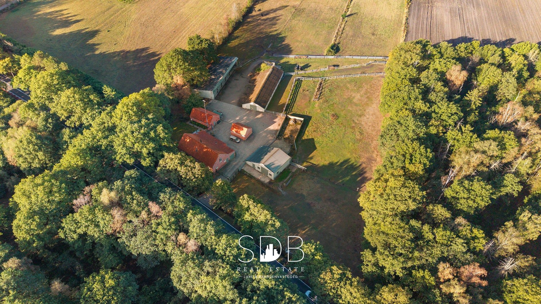 Authentieke hoeve met diverse bijgebouwen en graslanden op 93.155m² foto 3