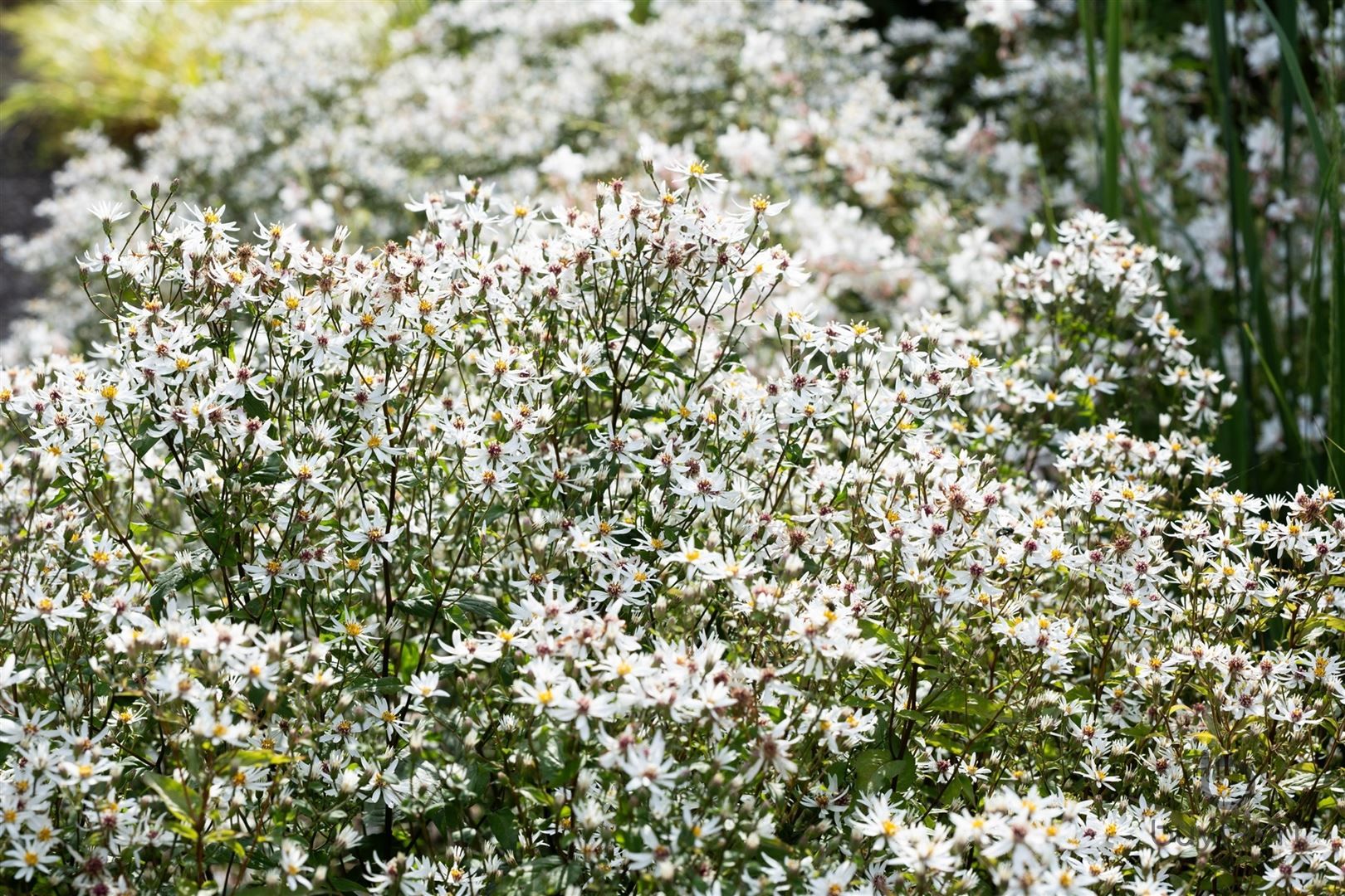 Knap gemeubeld gelijkvloers appartement te 's Gravenwezel met uizicht op natuurgebied! foto 43