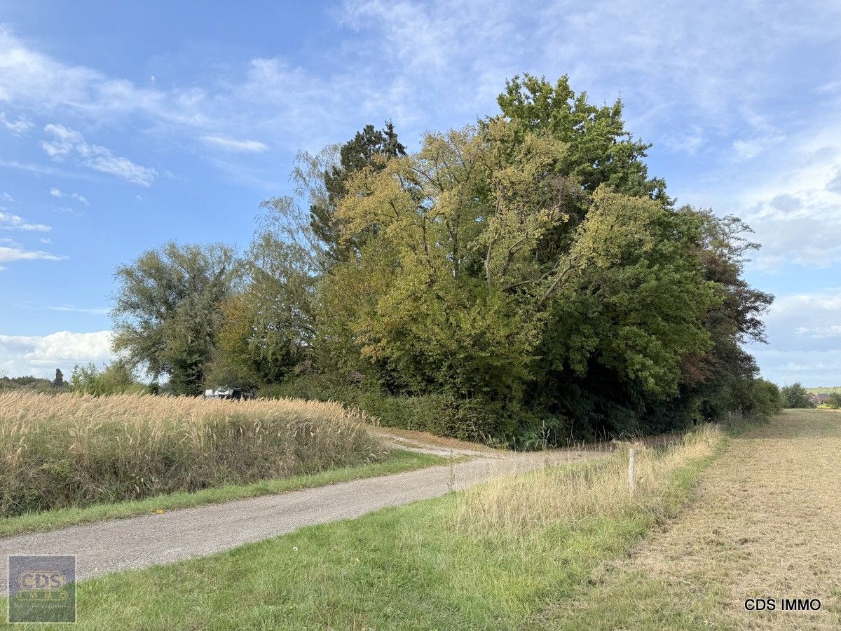 Idyllisch gelegen woning foto 9