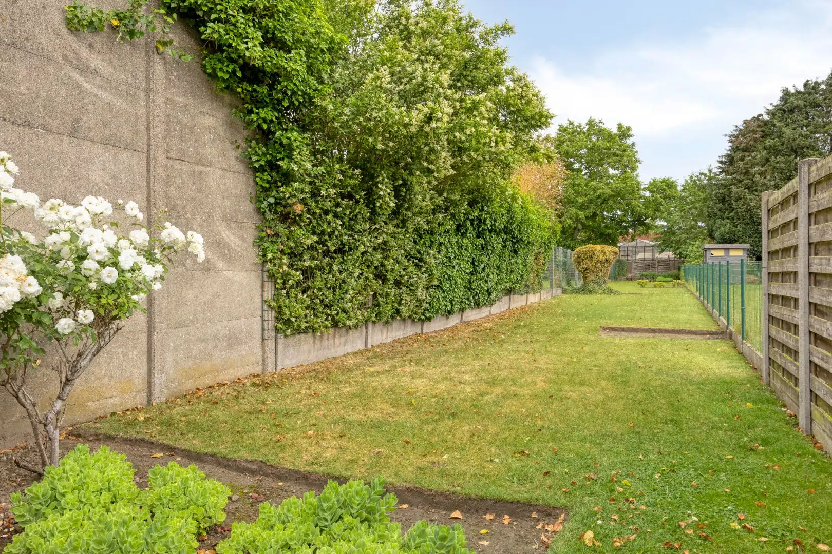 Gezellige woning met 3 slaapkamers en tuin! foto 11