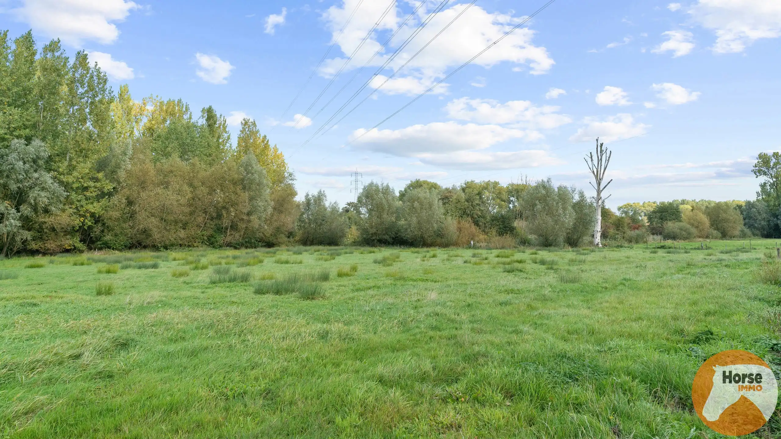 DEINZE - Landbouwwoning op +/-1,2HA foto 7