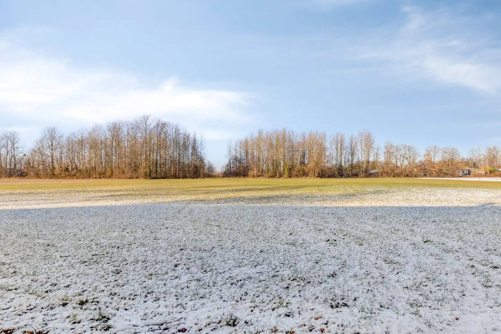 Landbouwgrond vrij van pacht in Wilsele op een perceel van 2ha 03a 20ca foto 8