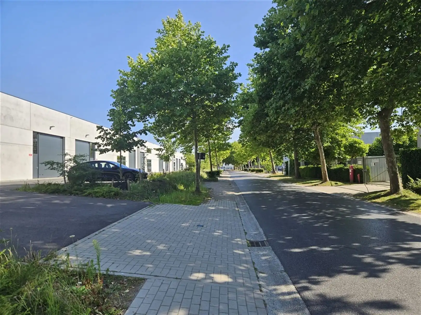 Nieuwbouw magazijn te huur in Jabbeke foto 2