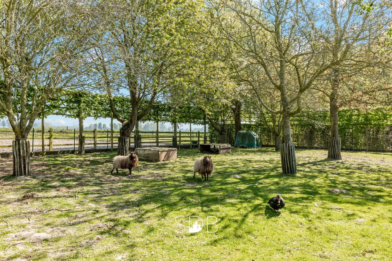 Prachtige stijlvolle woning met bijgebouwen, buitenpiste en graslanden  foto 47