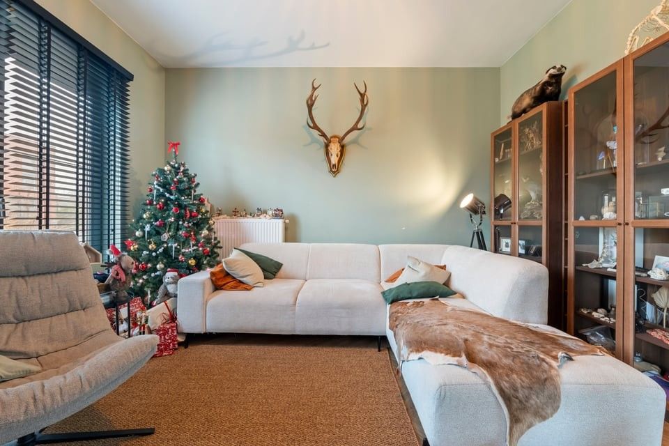 ENERGIEZUINIGE GEZINSWONING MET ZONNEPANELEN EN GARAGE IN MIELEN-BOVEN-AALST foto 4