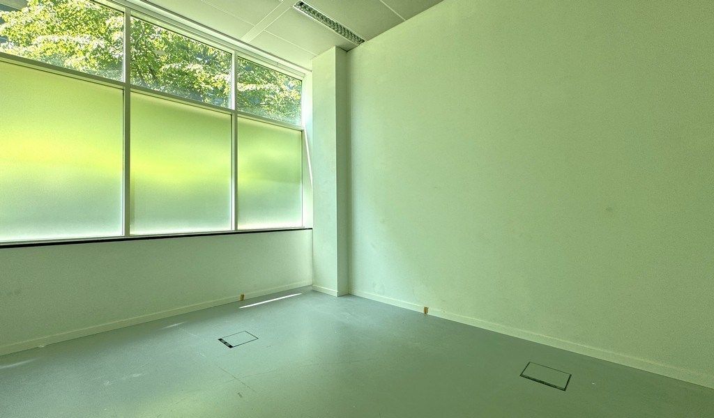 Gelijkvloers kantoor te huur in  "Rubens Building" te Berchem foto 8