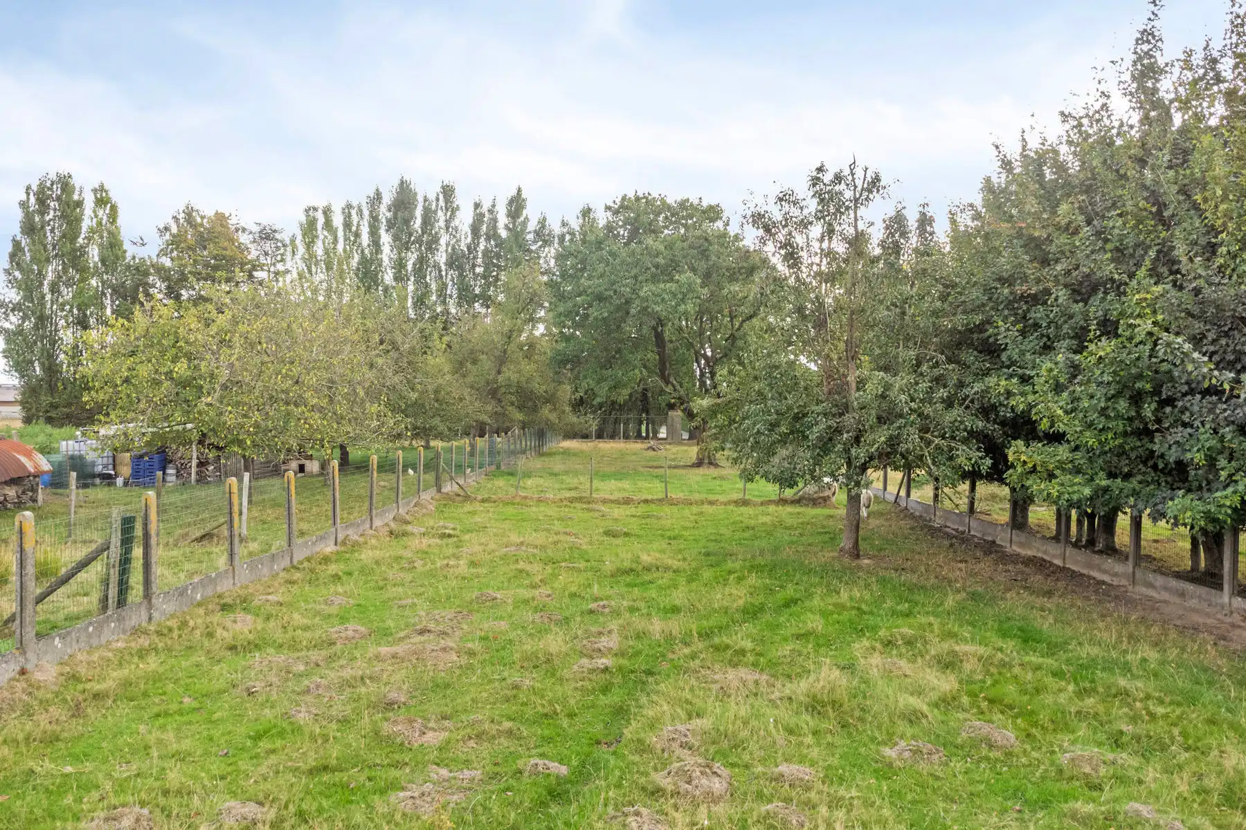 Huis te koop foto 26