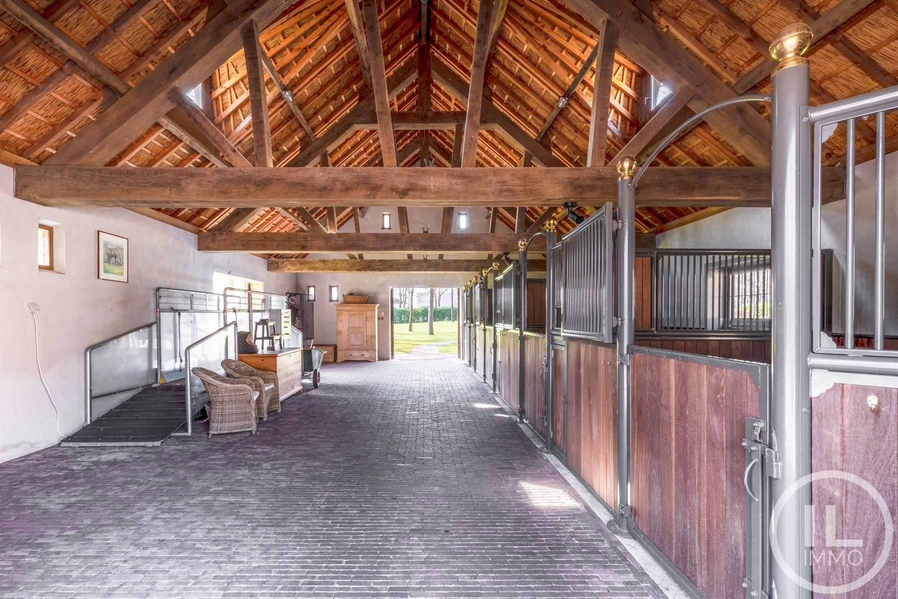 Schitterend domein van 7,7 ha met prachtige villa, zwembad, guesthouse, ruime schuur en uitgebreide paardenfaciliteiten. foto 43