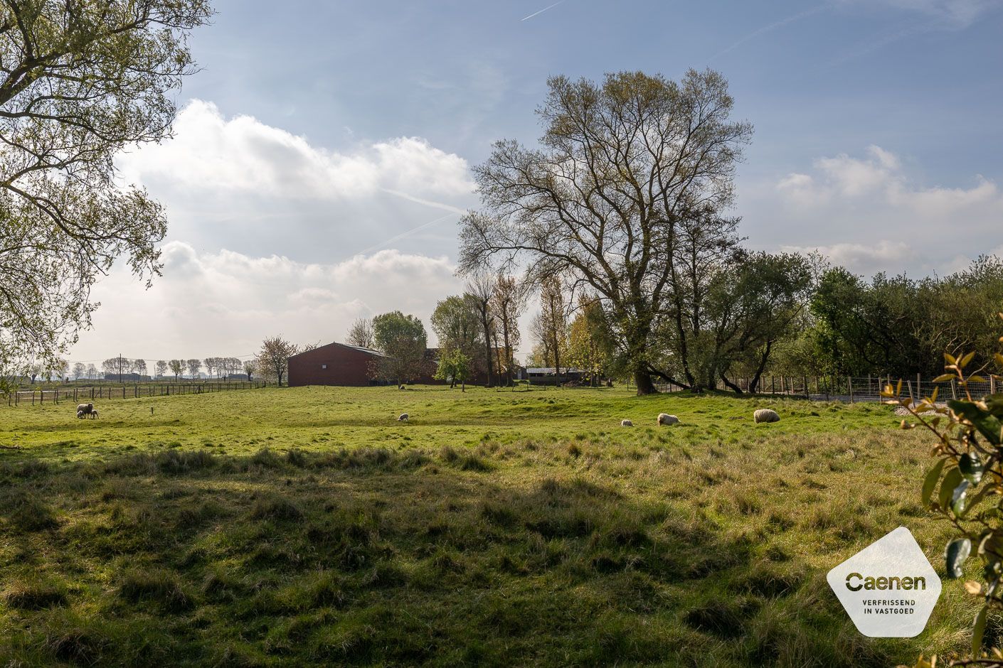 Zonnige vakantiewoning te Westende! foto 11